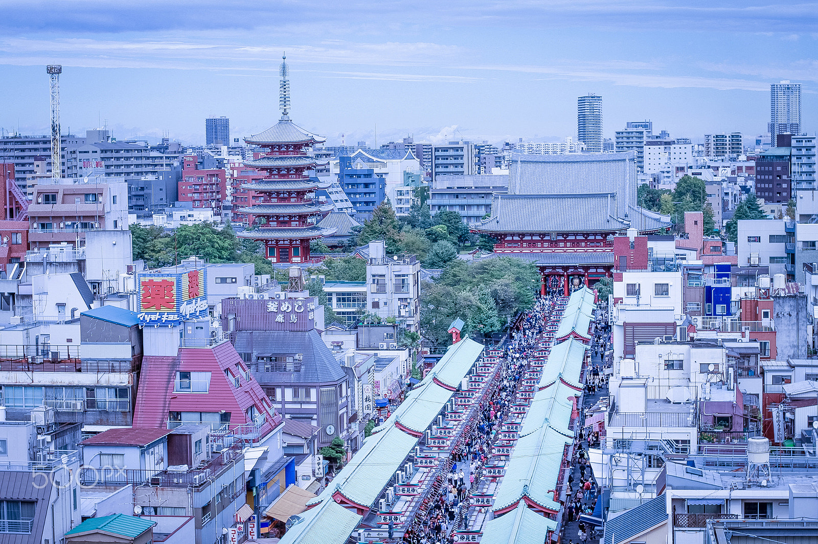 Sigma 50mm F1.4 EX DG HSM sample photo. Japan  sensouji temple photography