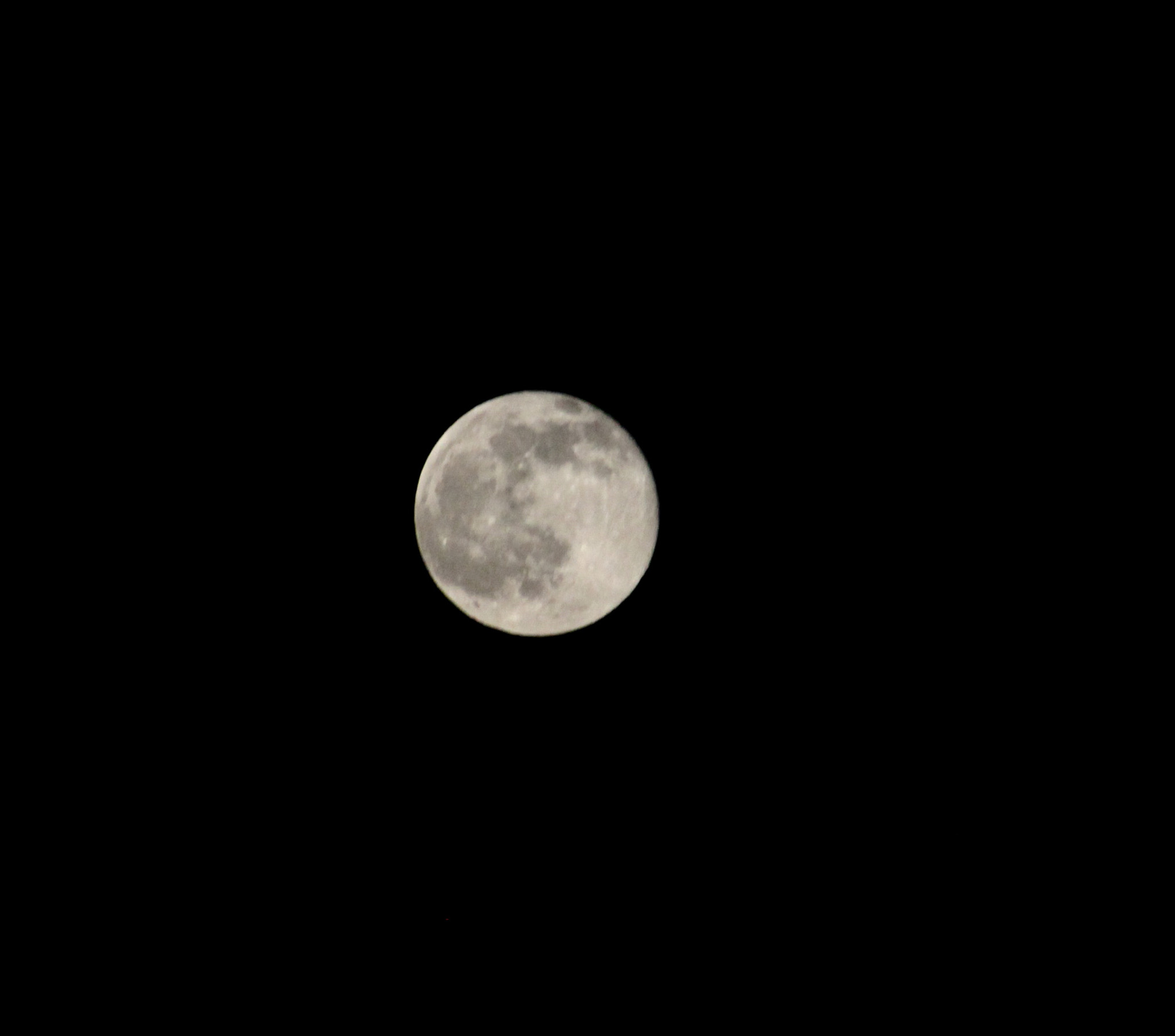 Canon EF75-300mm f/4-5.6 sample photo