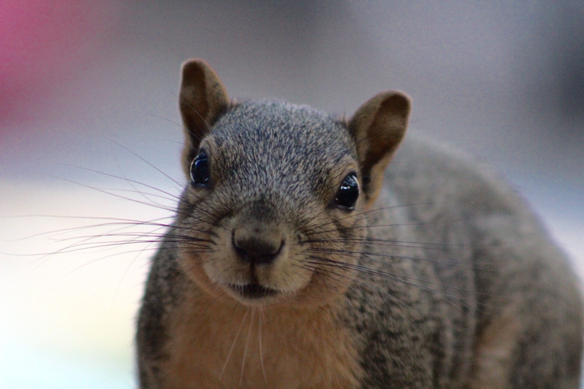 Canon EF75-300mm f/4-5.6 sample photo
