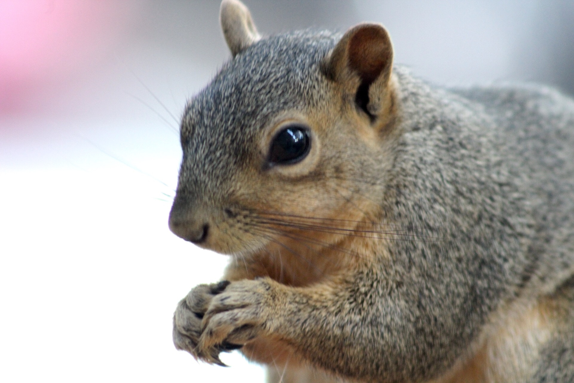 Canon EF75-300mm f/4-5.6 sample photo