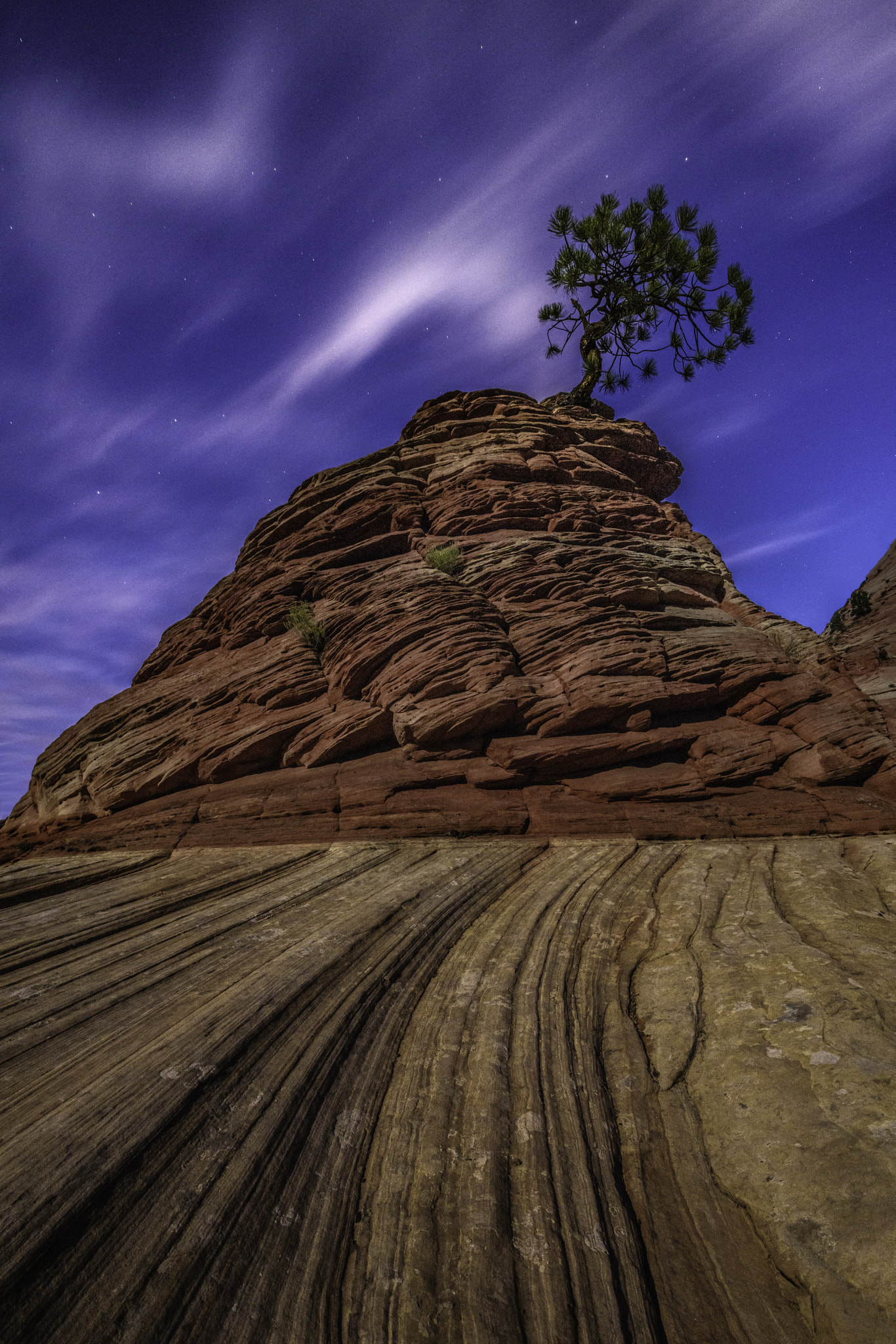 Nikon D810A sample photo. I stand alone photography