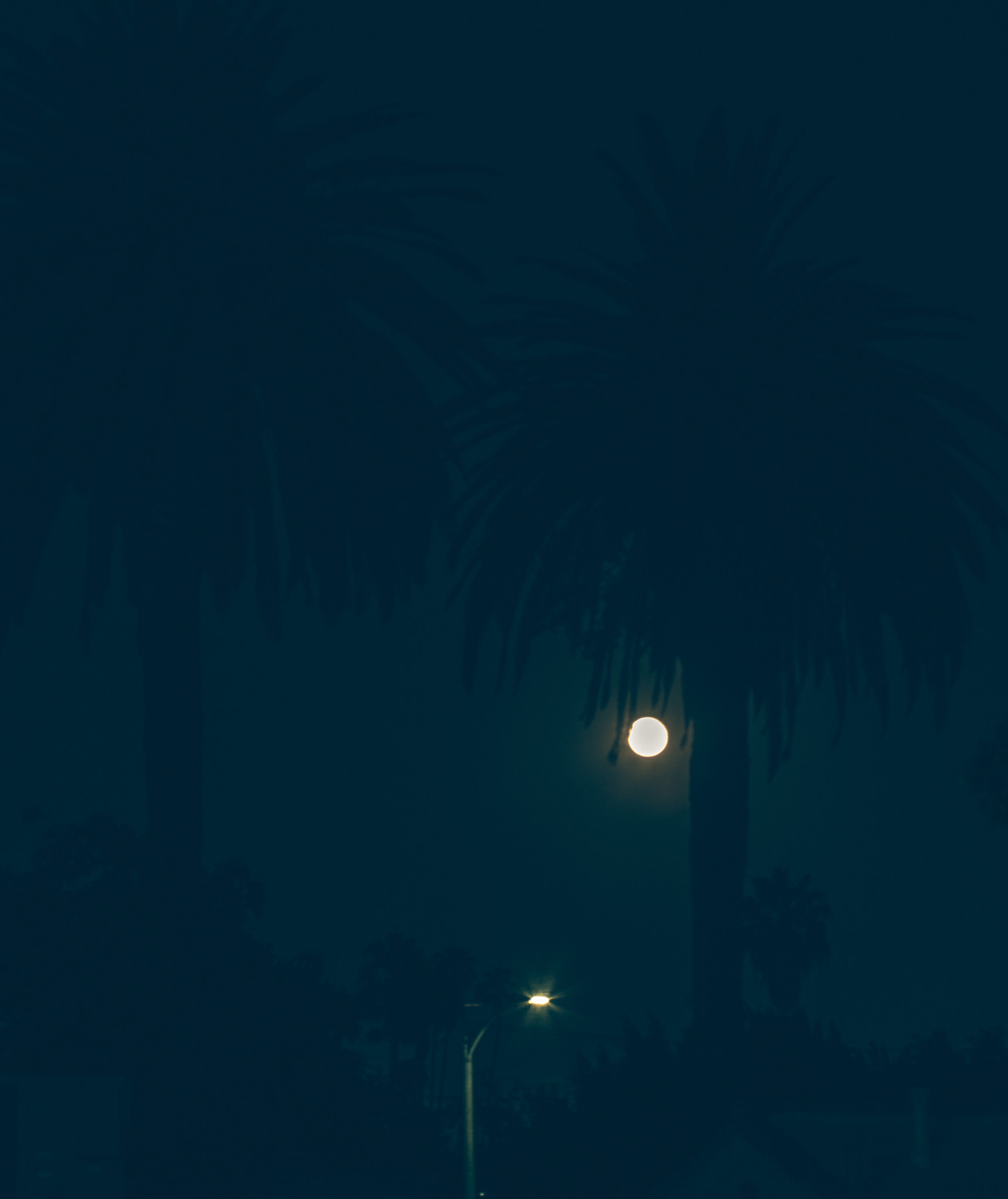 100mm F2.8 sample photo. Strawberry moon photography