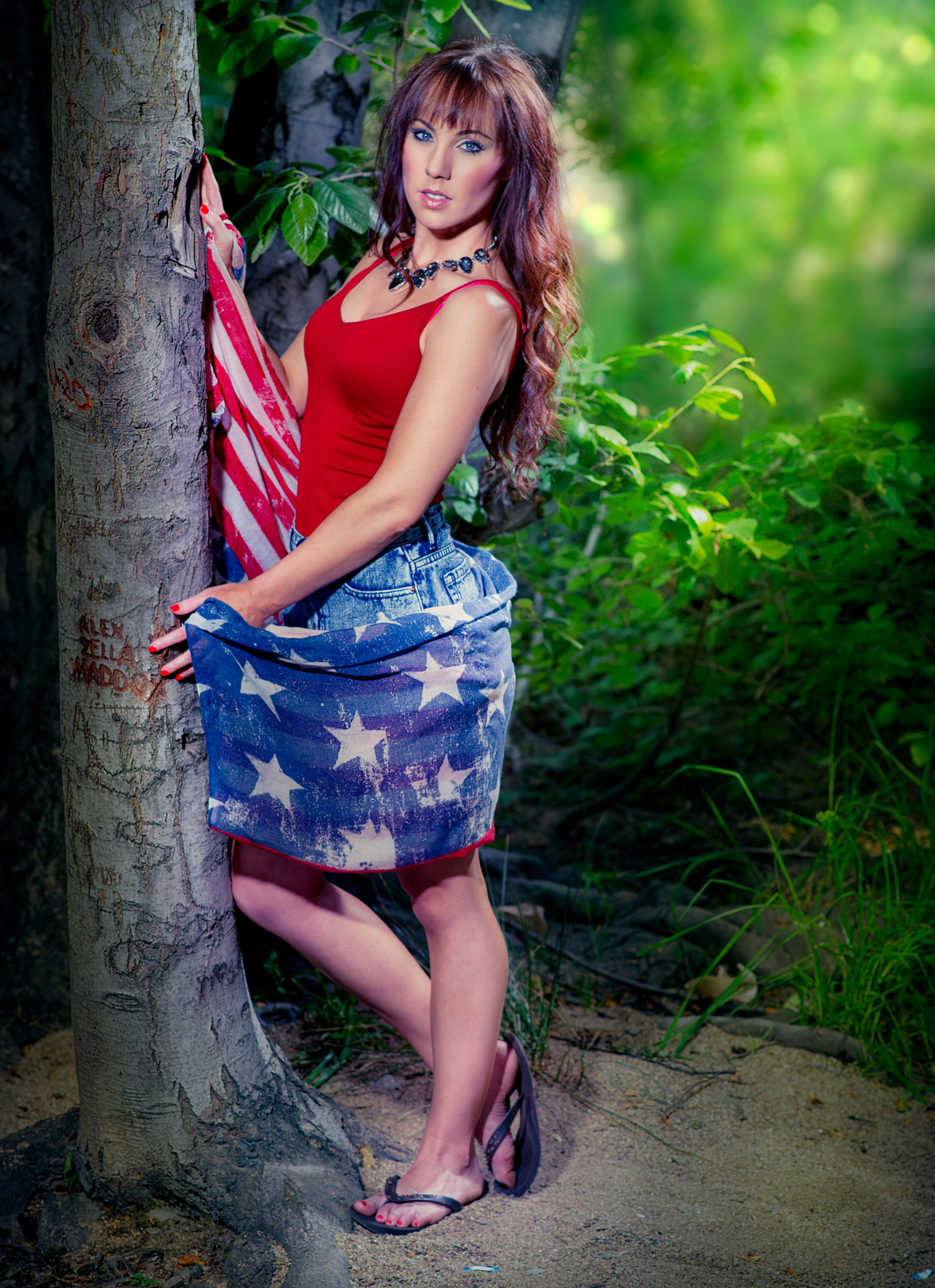 Nikon D3S + Nikon AF-S Nikkor 85mm F1.8G sample photo. Stars and stripes photography