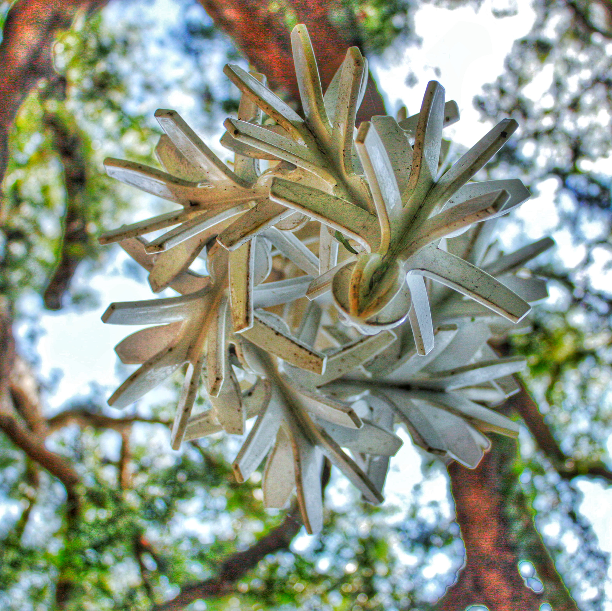 Canon EOS 500D (EOS Rebel T1i / EOS Kiss X3) + Canon EF-S 18-55mm F3.5-5.6 IS sample photo. "return of the ancients" by brian carlson photography