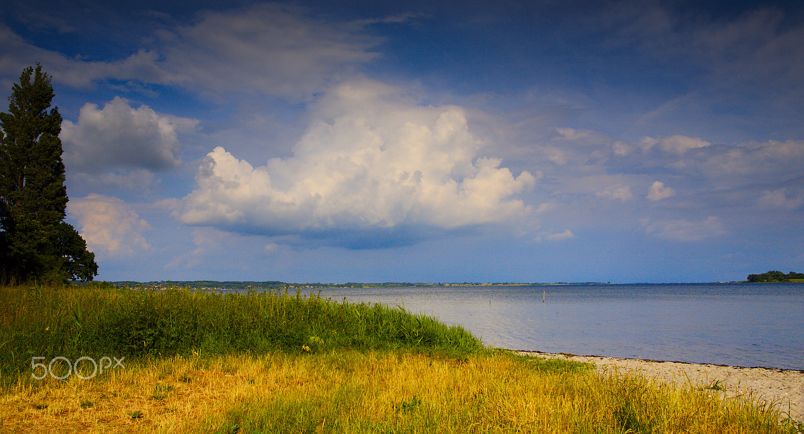 Canon EOS 5D + Canon EF 24mm F1.4L II USM sample photo. Summerclouds photography