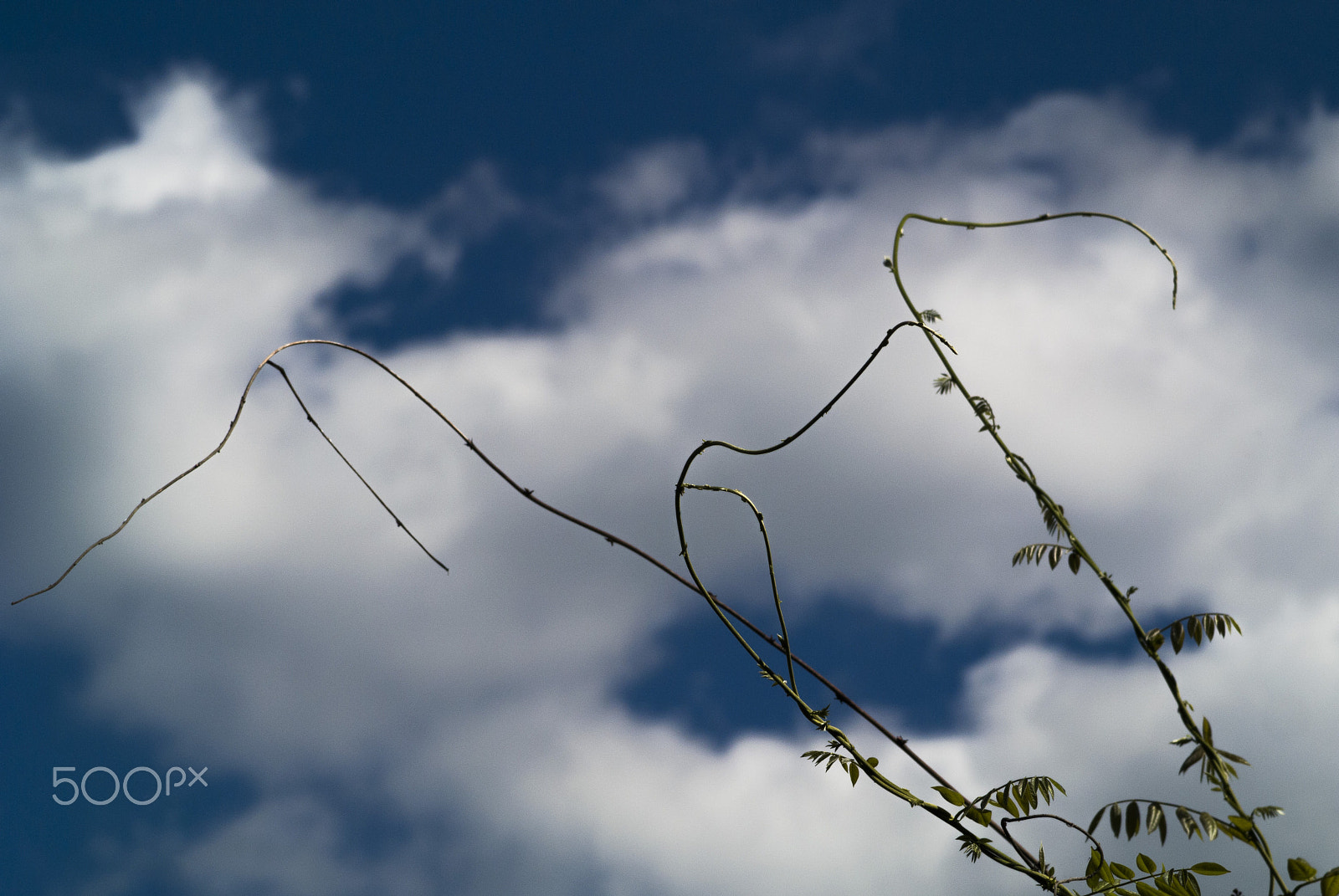 Nikon 1 V1 sample photo. Climber photography