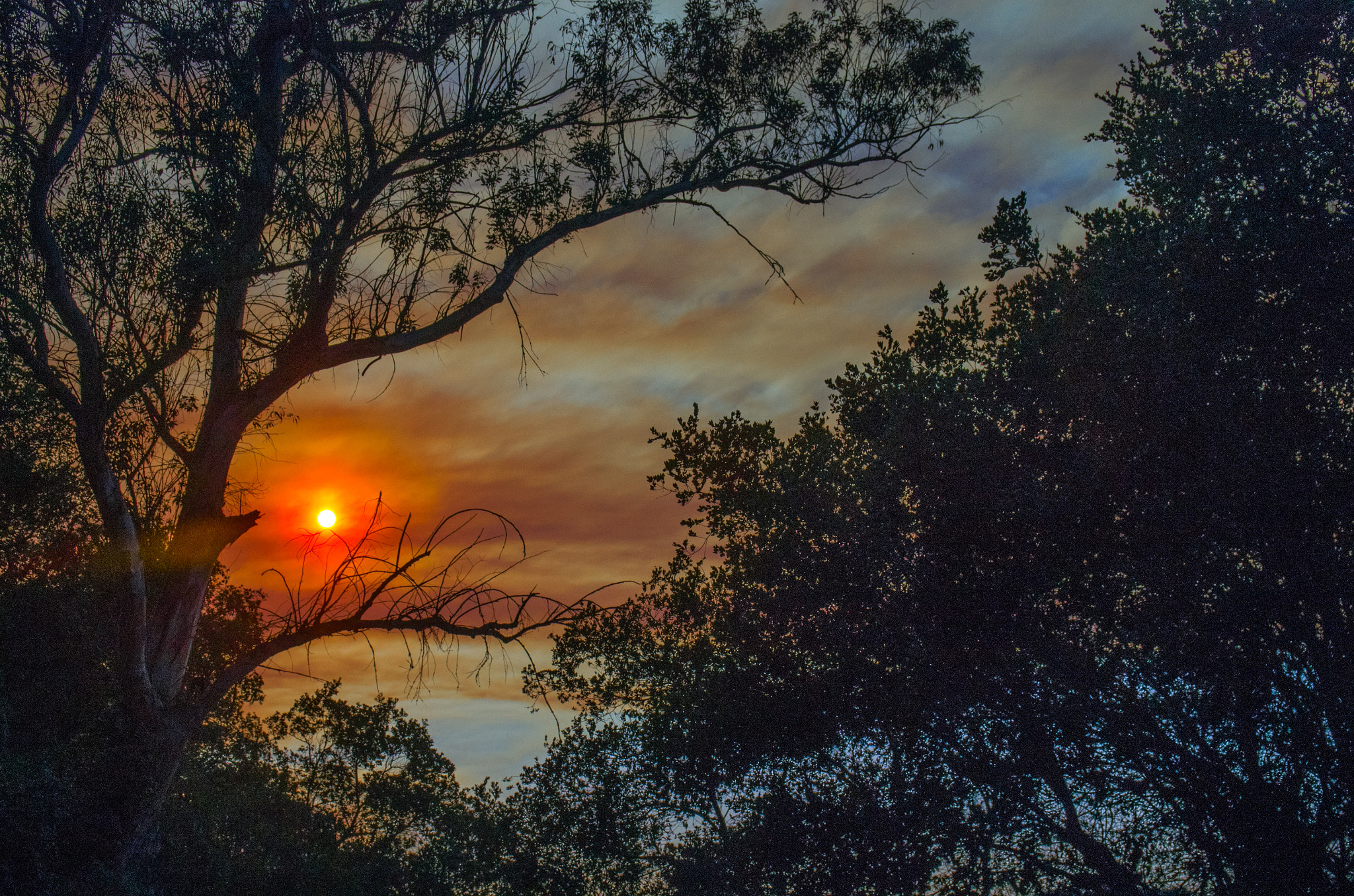 Pentax smc DA 17-70mm F4.0 AL (IF) SDM sample photo. Sherpa fire photography