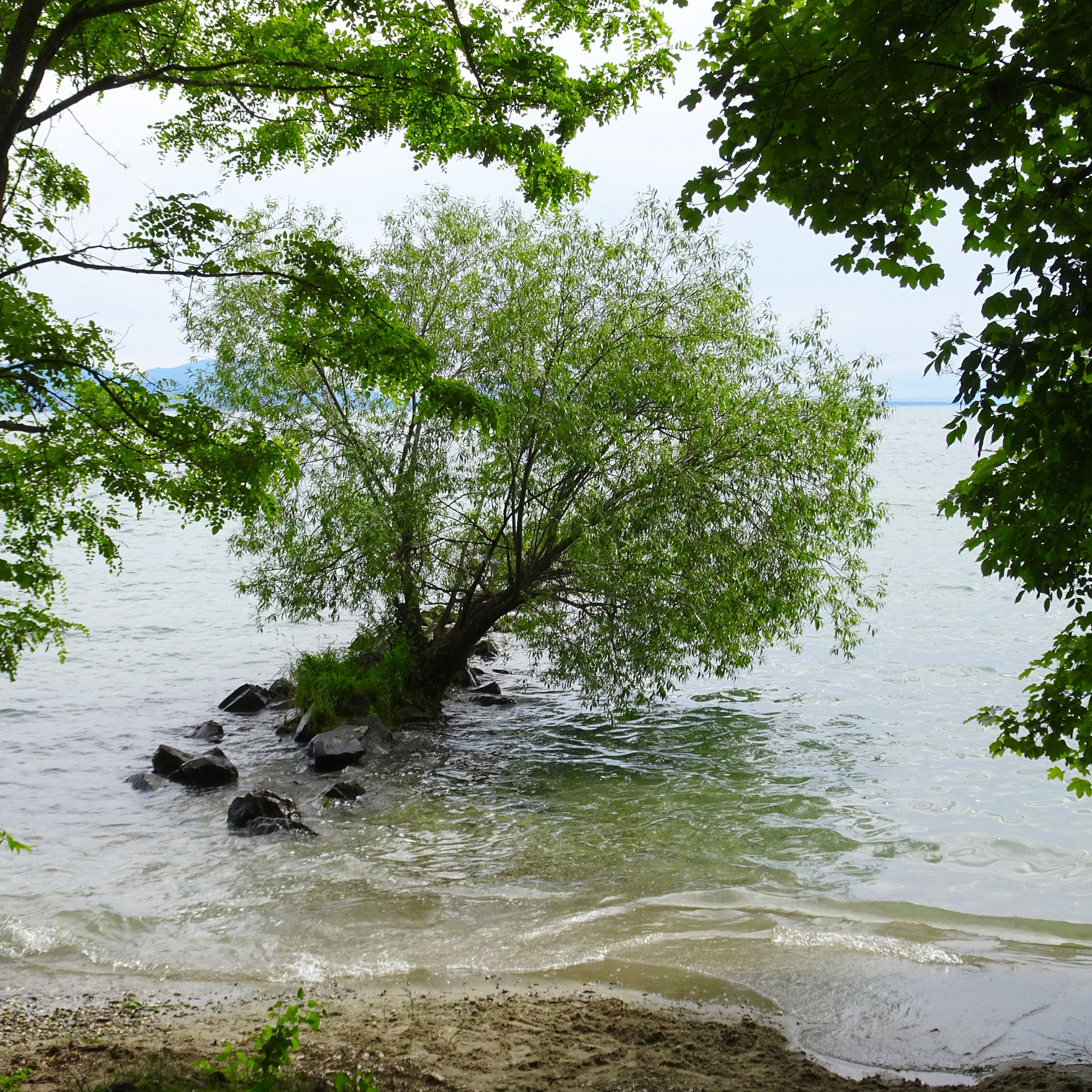 Sony Cyber-shot DSC-HX90V + Sony 24-720mm F3.5-6.4 sample photo. Le lac lÉman bien rempli ! photography