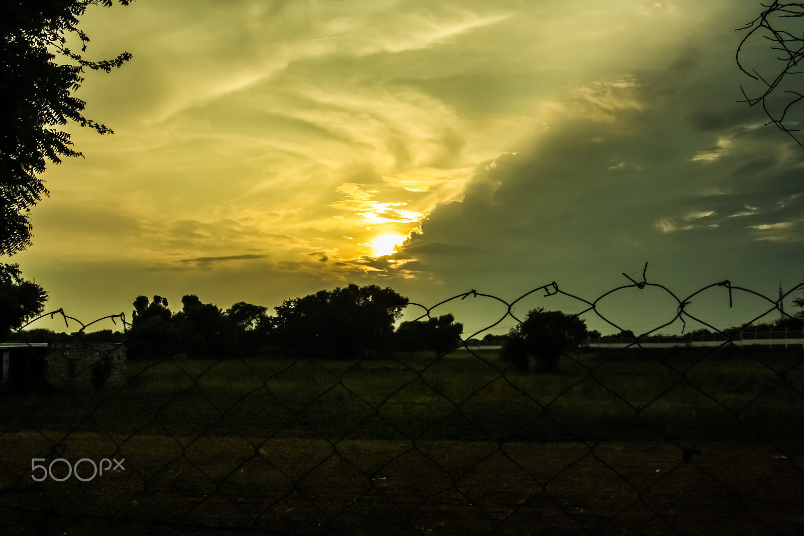 Canon EOS 1000D (EOS Digital Rebel XS / EOS Kiss F) sample photo. The life behind the fence photography
