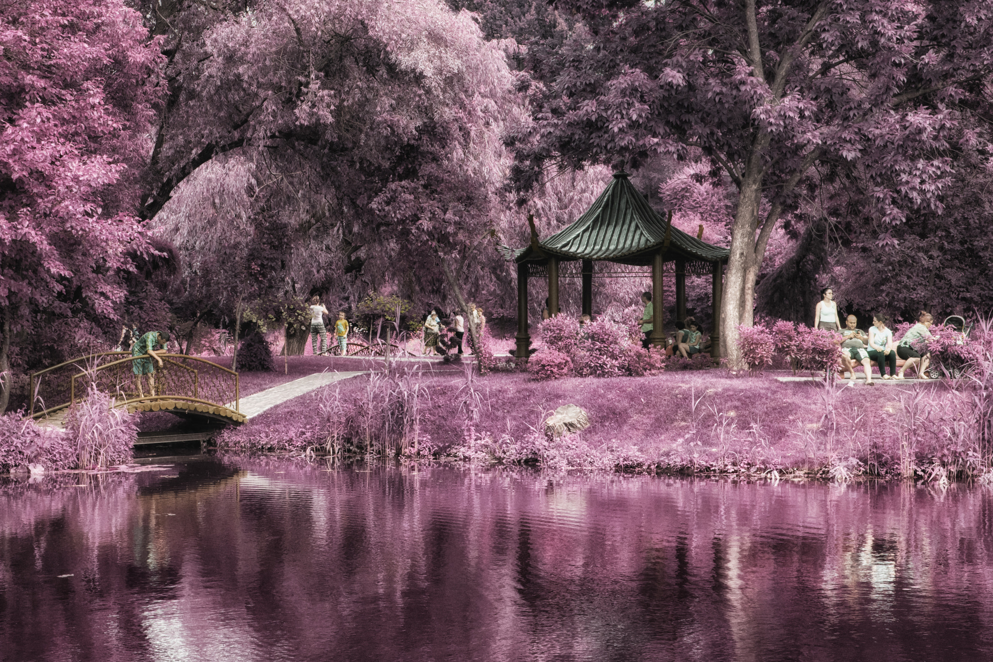 Canon EOS 750D (EOS Rebel T6i / EOS Kiss X8i) sample photo. Nature in infrared photography