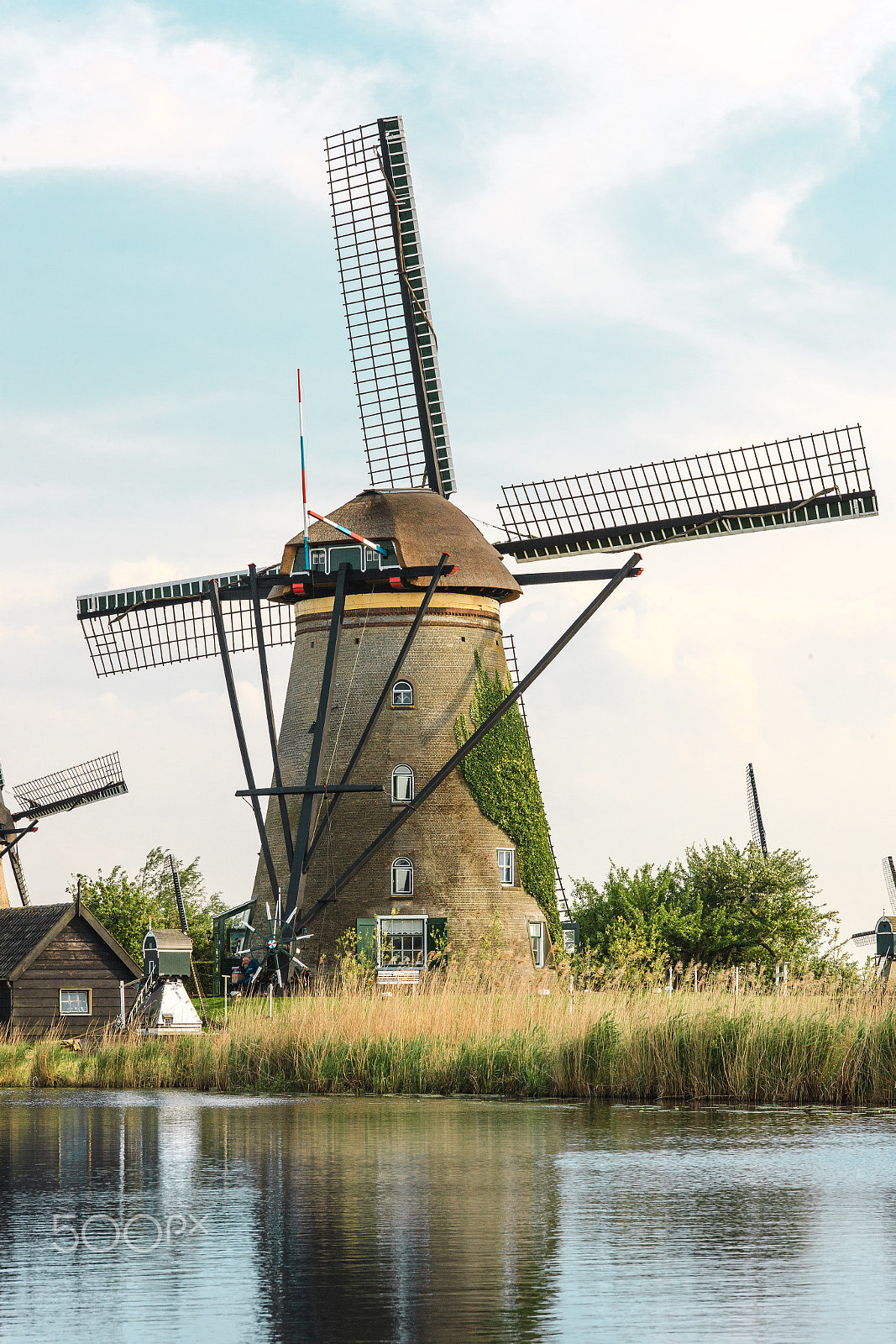 Canon EOS-1Ds Mark III + ZEISS Makro-Planar T* 100mm F2 sample photo. Traditional dutch windmills with green grass in the foreground, the netherlands photography