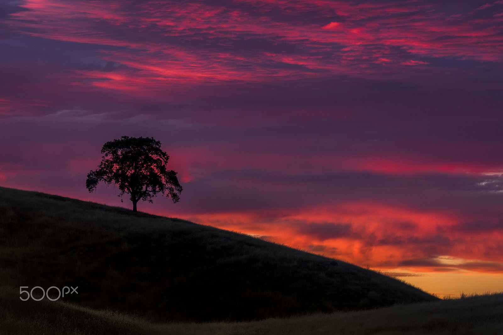 HD Pentax DA 55-300mm F4.0-5.8 ED WR sample photo. Summer's sunset!!! photography