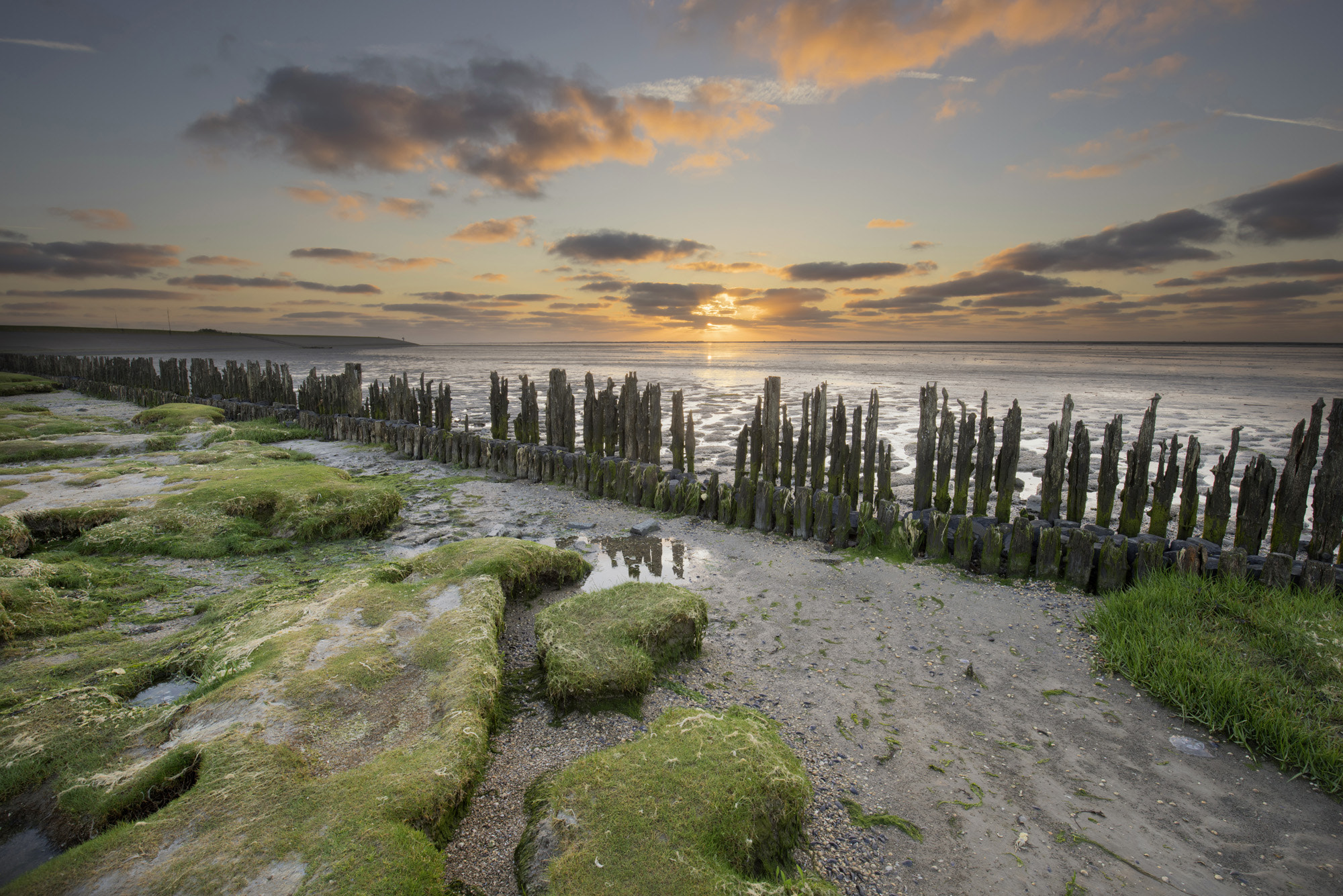 16-35mm F4 G SSM OSS sample photo. Wadden coast friesland photography