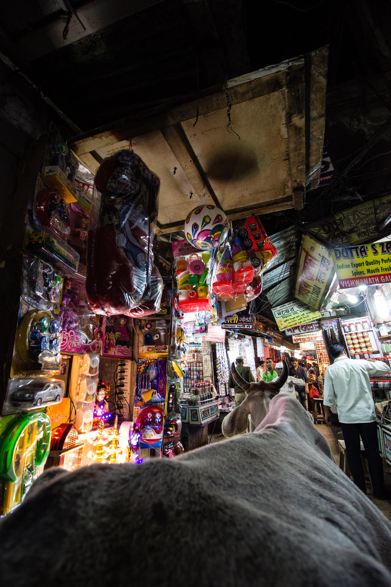 Canon EF-S 10-18mm F4.5–5.6 IS STM sample photo. Streets of benaras photography