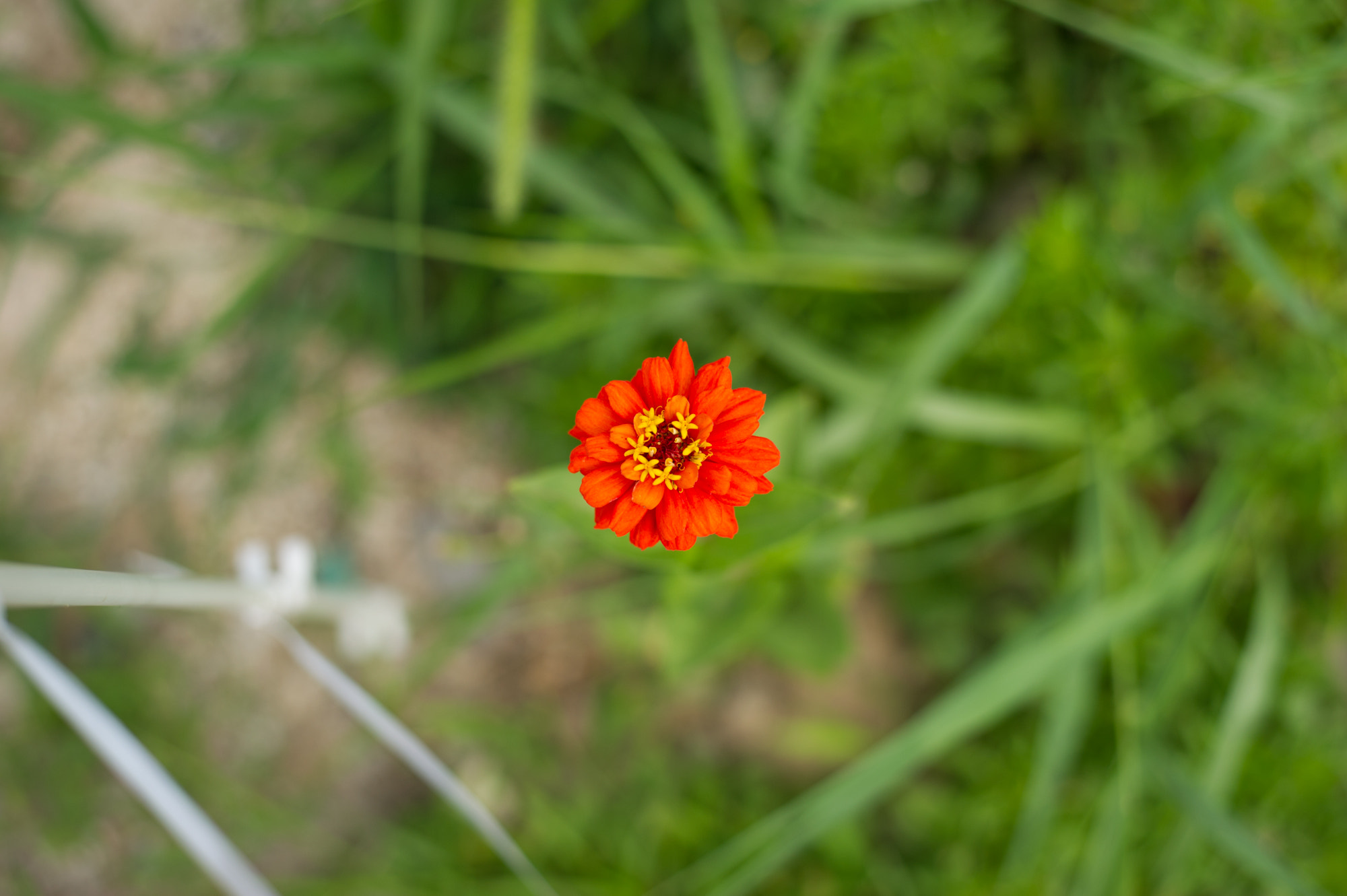 Nikon D3S + Nikon AF-S Nikkor 50mm F1.8G sample photo. Serenity photography