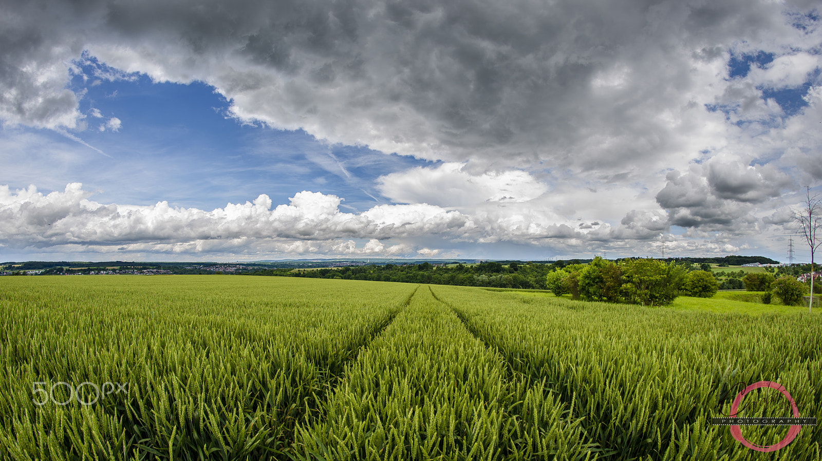 Samyang 12mm F2.8 ED AS NCS Fisheye sample photo. Adiart (of )summer photography