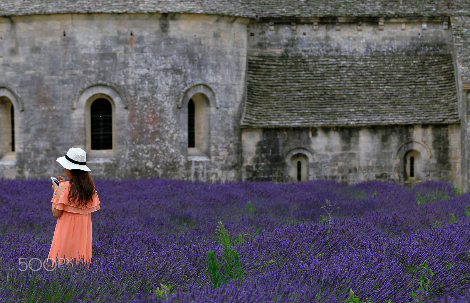 Canon EF 70-200mm F2.8L IS II USM sample photo. Orange&purple photography