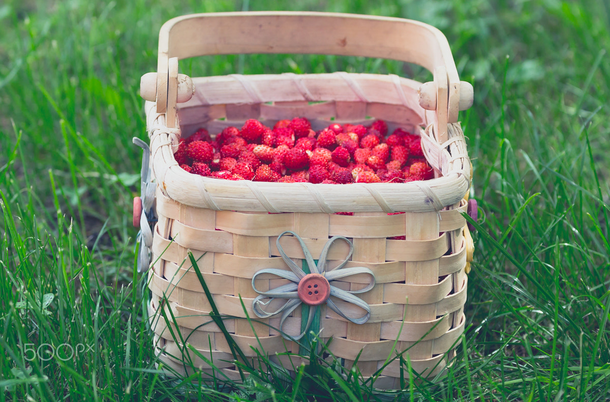 Canon EF 70-300mm F4-5.6L IS USM sample photo. Wild strawberry photography