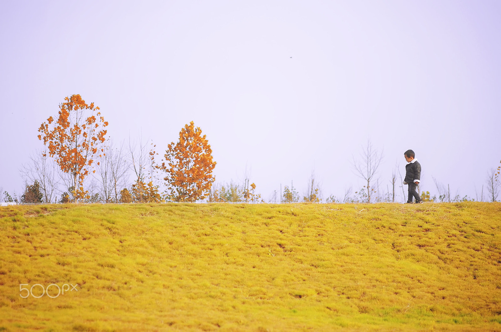 Pentax K-r + Pentax smc DA 70mm F2.4 AL Limited sample photo. The beautiful autumn photography