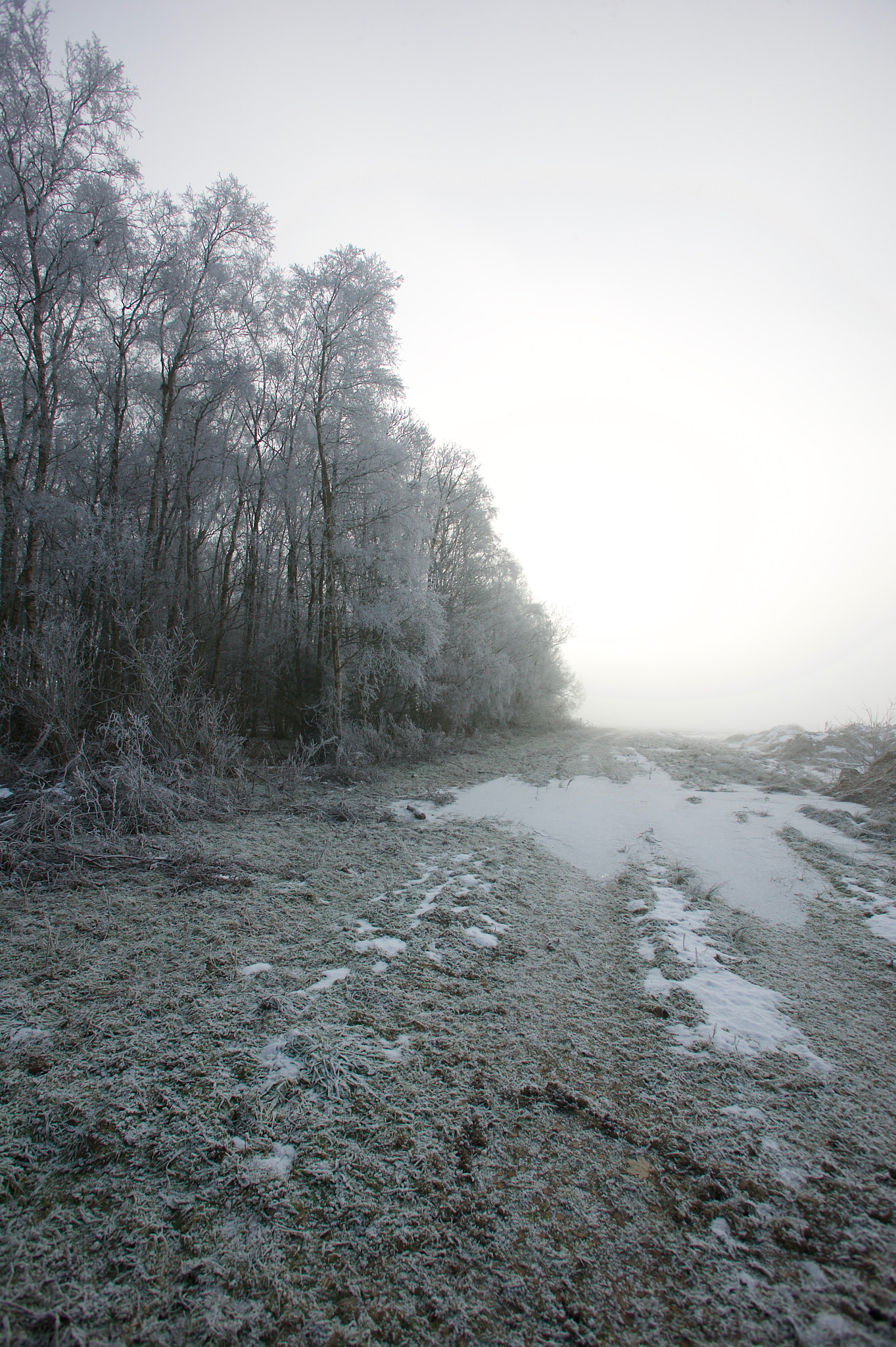Canon EOS-1Ds + Canon EF 17-35mm f/2.8L sample photo. Winter frost photography