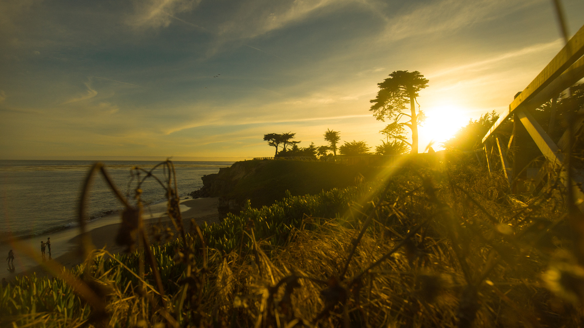 Sony a7S II + Canon EF 16-35mm F4L IS USM sample photo. Santa cruz, california photography