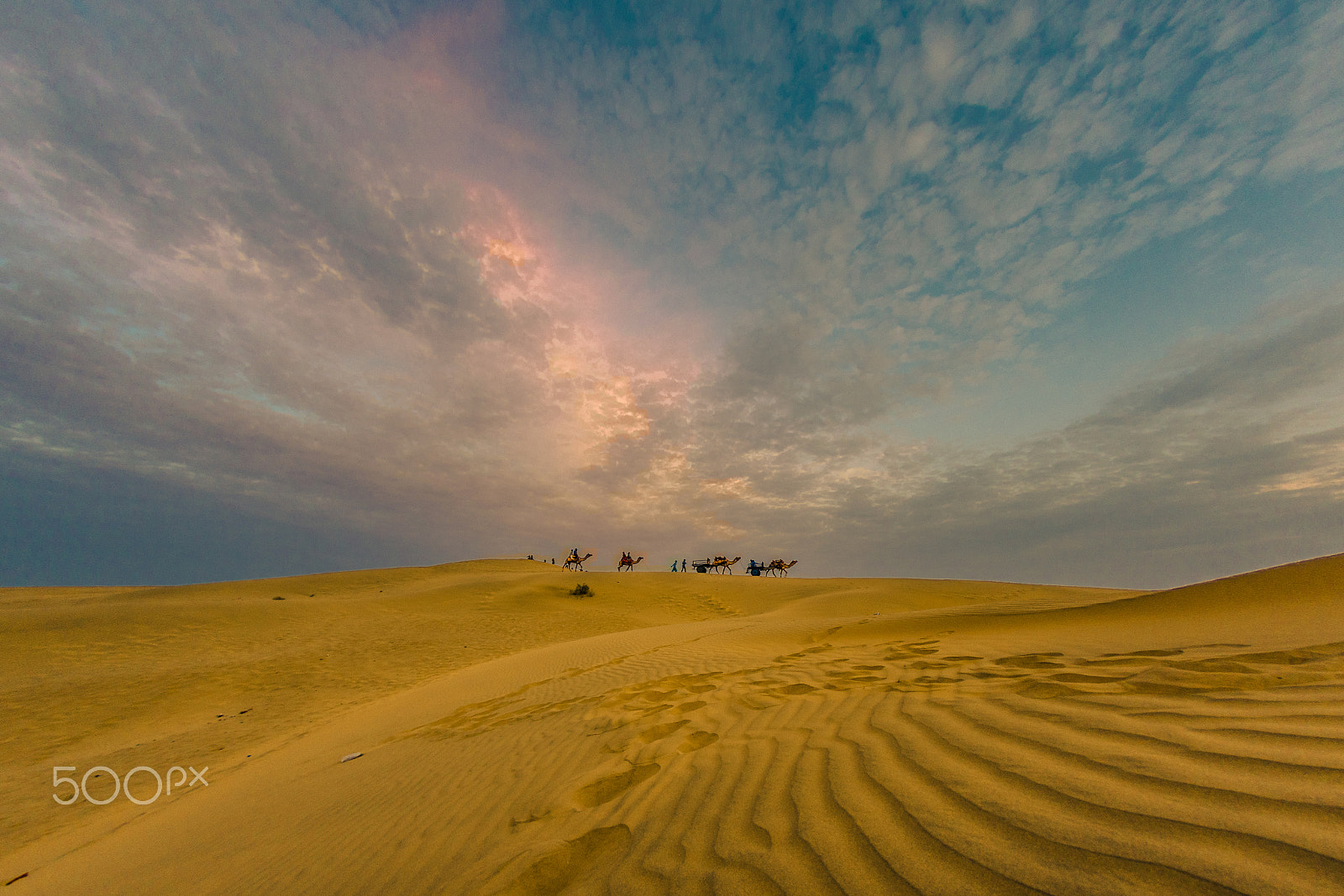 Pentax K-3 II sample photo. Desert thar. sunset photography