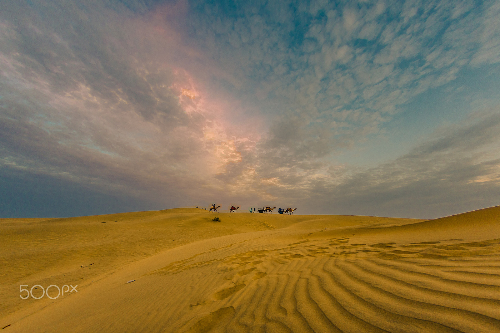 Pentax K-3 II + A Series Lens sample photo. Desert thar. sunset photography