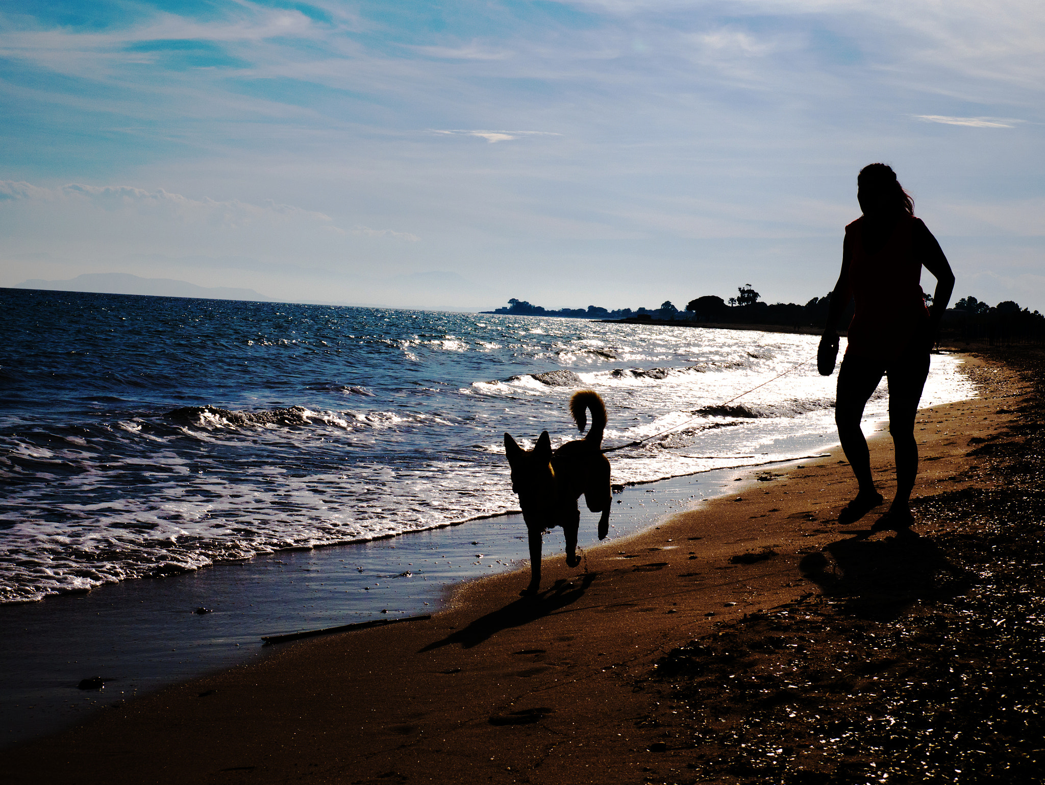Panasonic DMC-G70 sample photo. Strandspaziergang mit  hund photography