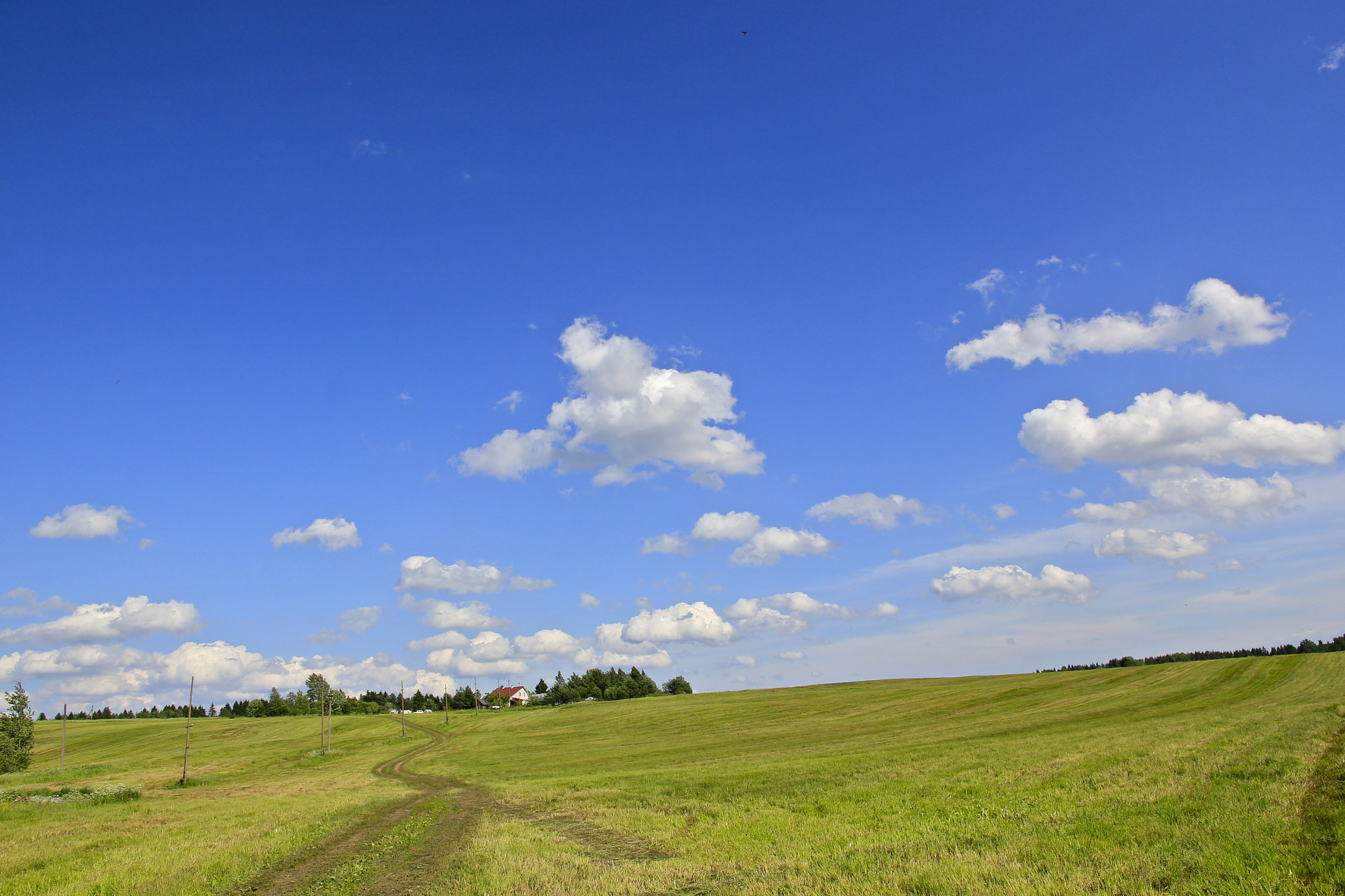 Canon EOS 550D (EOS Rebel T2i / EOS Kiss X4) sample photo. Country road photography