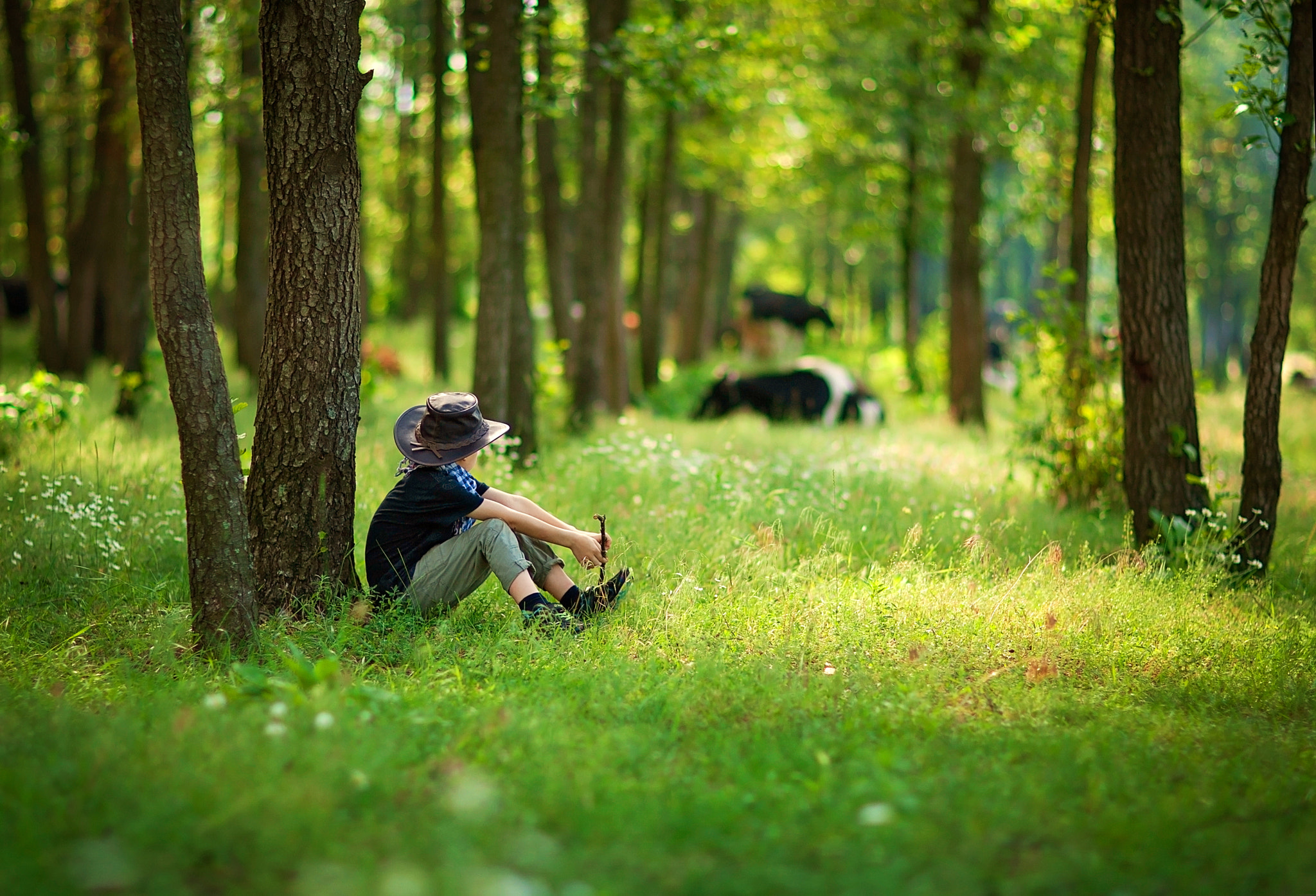 Canon EOS-1D Mark III sample photo. Summer day photography