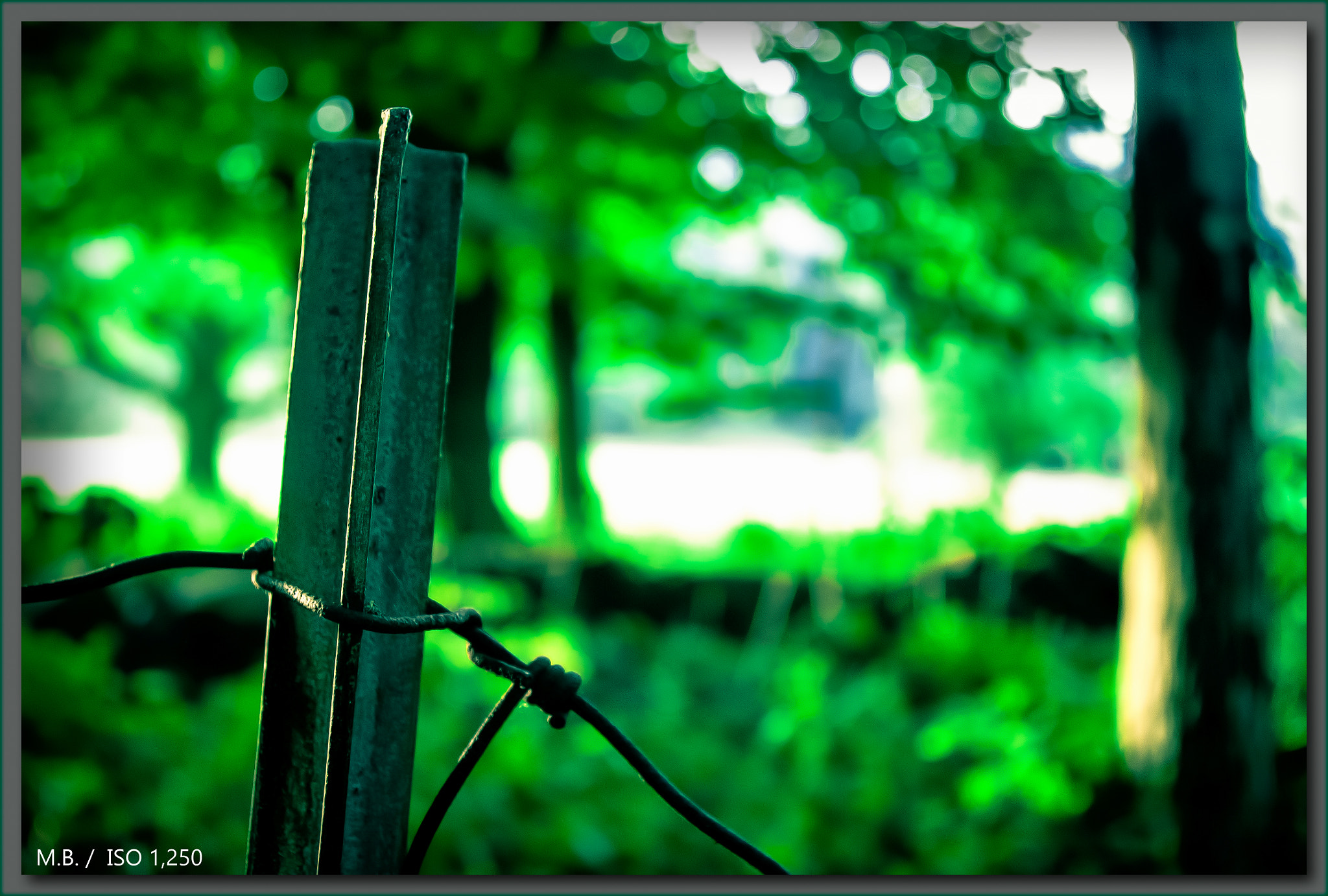 Pentax K-x sample photo. Nature shot dead end rd. during august, in ct photography