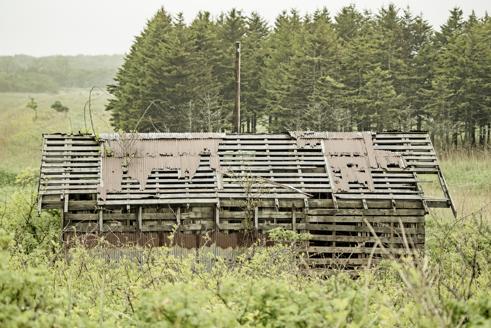 Pentax smc DA 55-300mm F4.0-5.8 ED sample photo. Hokkaido emotions photography