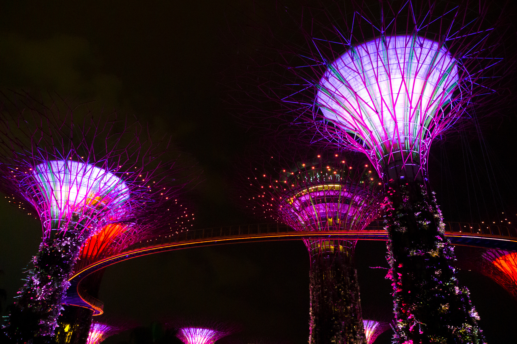 Olympus OM-D E-M10 + OLYMPUS M.12-50mm F3.5-6.3 sample photo. Gardens by the bay photography