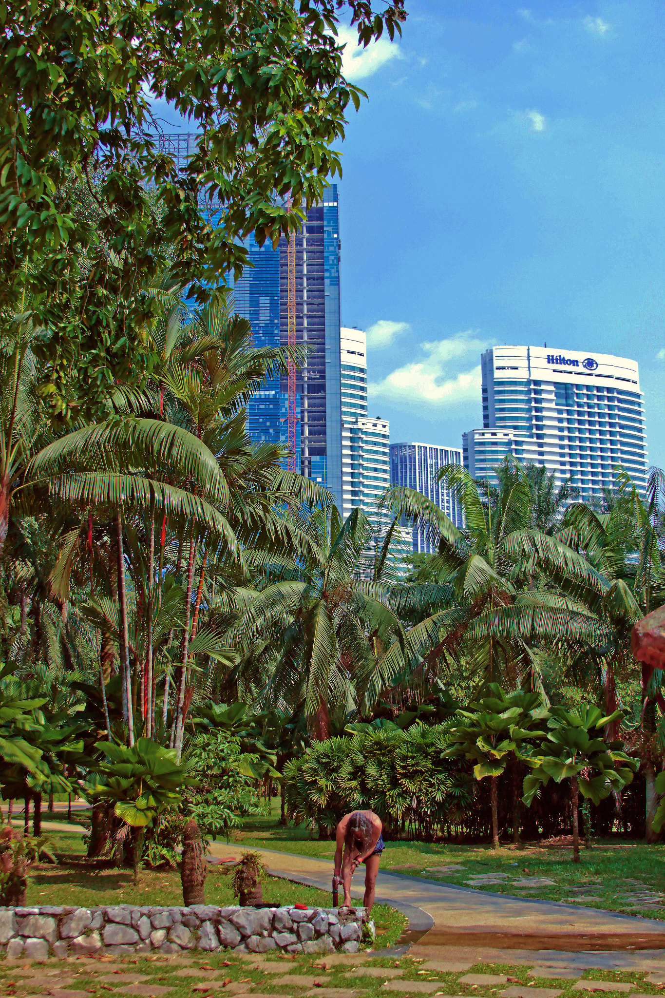 Canon EF 28-135mm F3.5-5.6 IS USM sample photo. Urban oasis photography