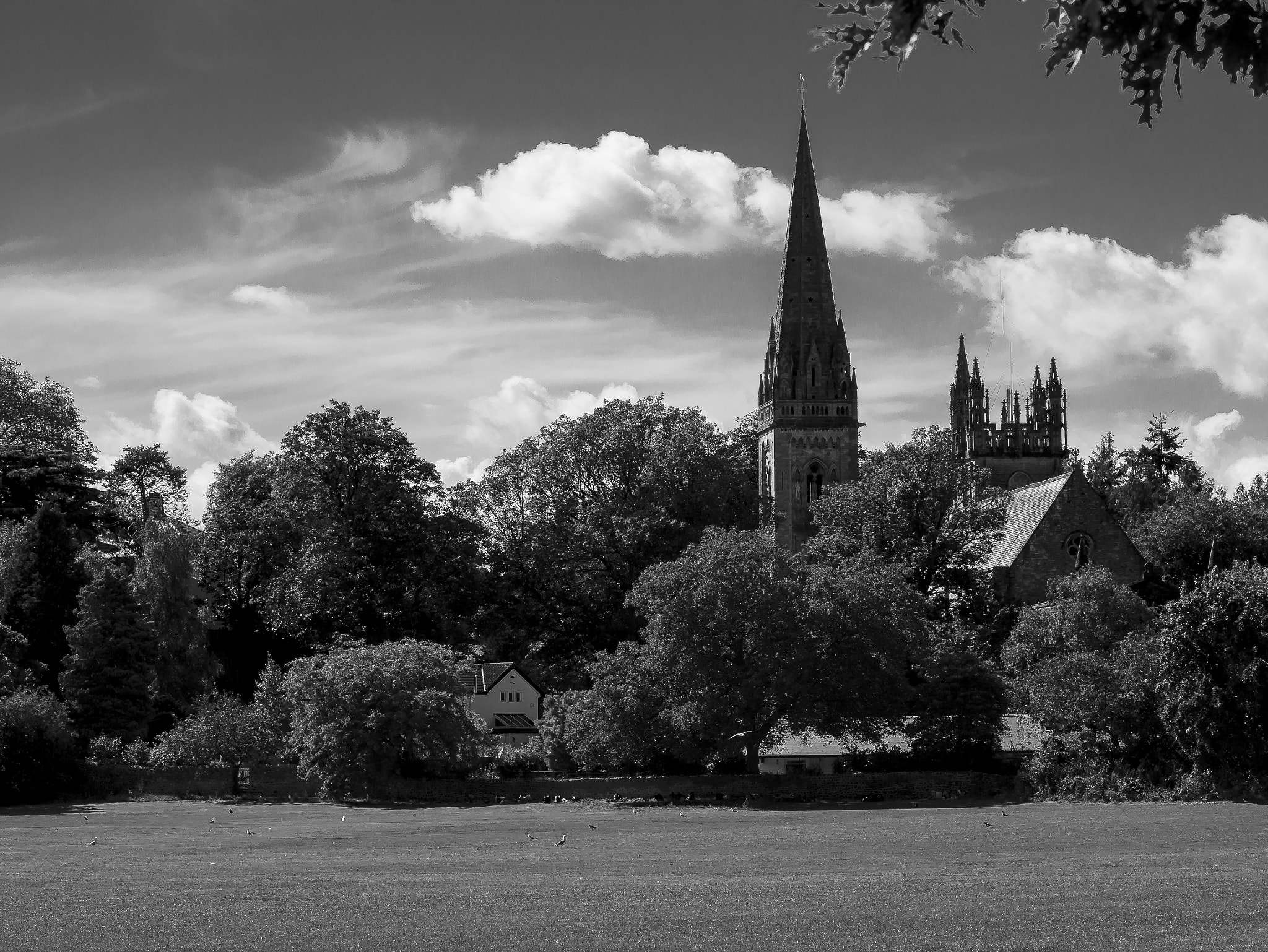 Panasonic Lumix DMC-G3 + Sigma 60mm F2.8 DN Art sample photo. Llandaff cathedral, cardiff photography