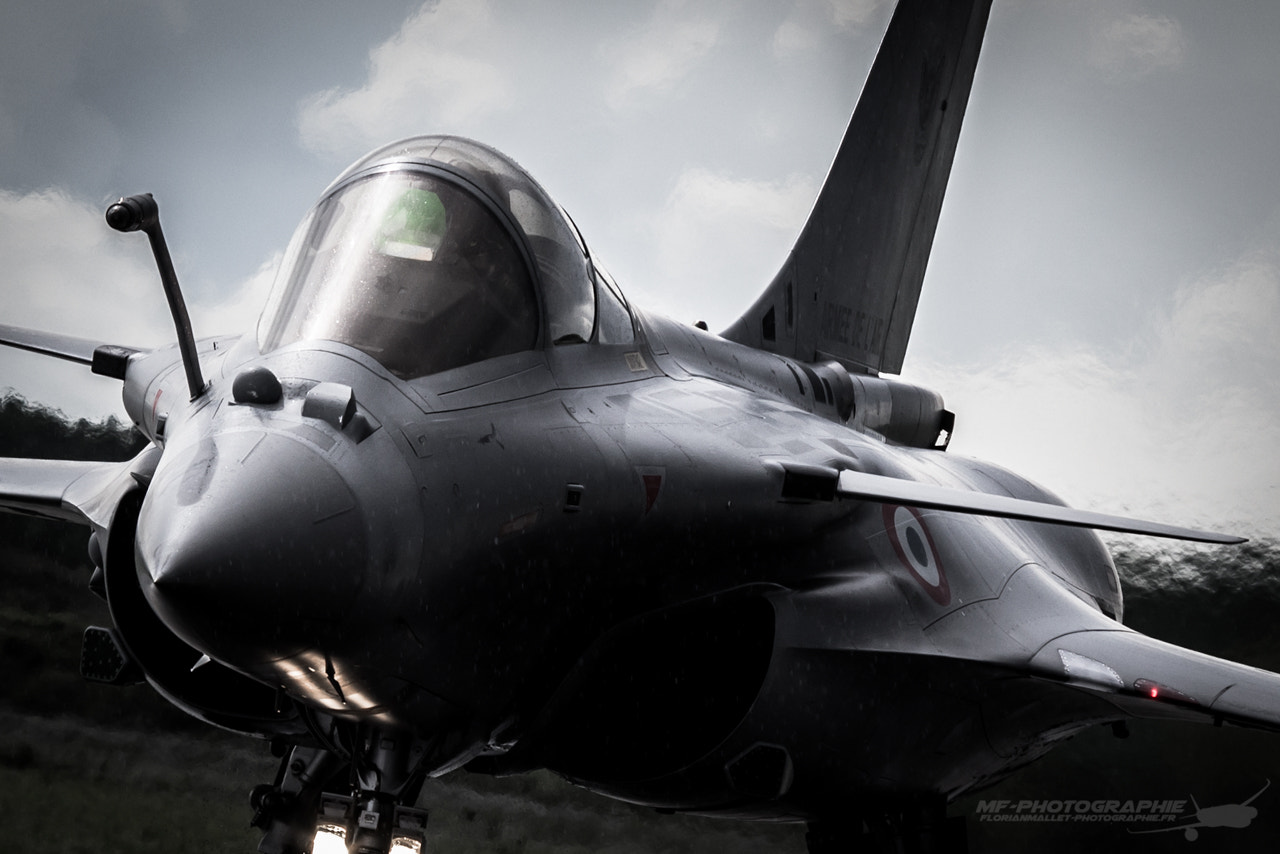 Canon EF 100-400mm F4.5-5.6L IS USM sample photo. Rafale photography