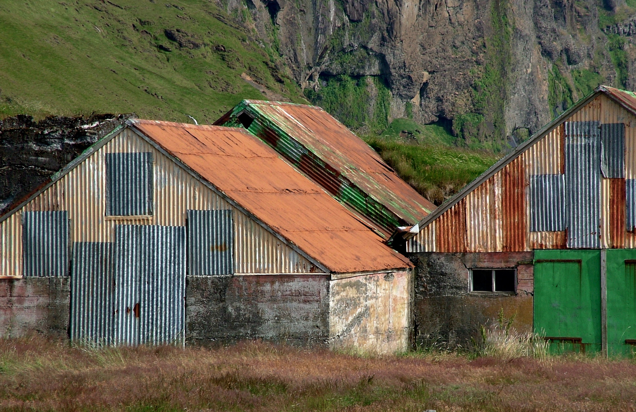 Fujifilm FinePix S20Pro sample photo. Icelandic barns photography