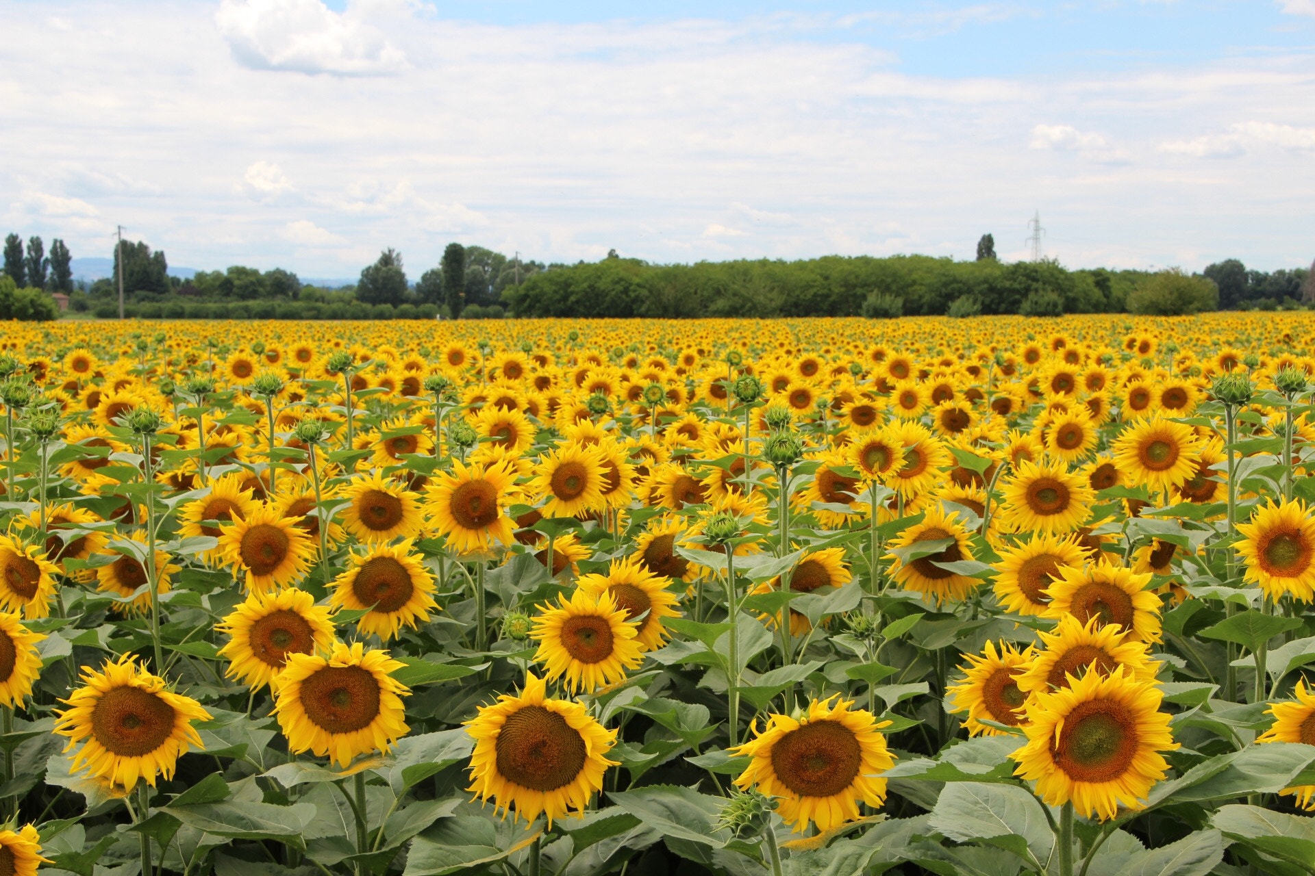 Canon 18-270mm sample photo