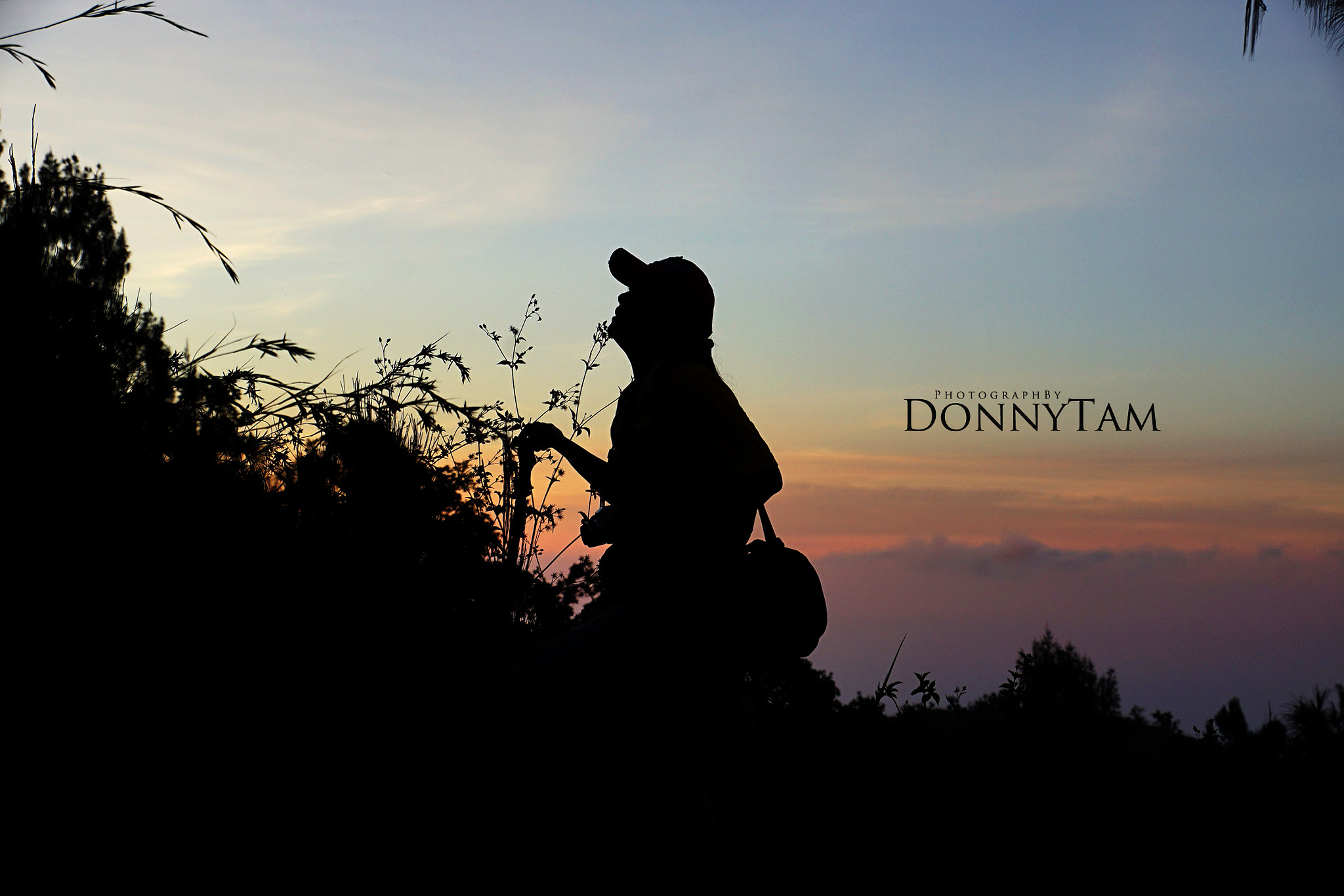 Sony DT 18-250mm F3.5-6.3 sample photo. Let's called it a day. photography