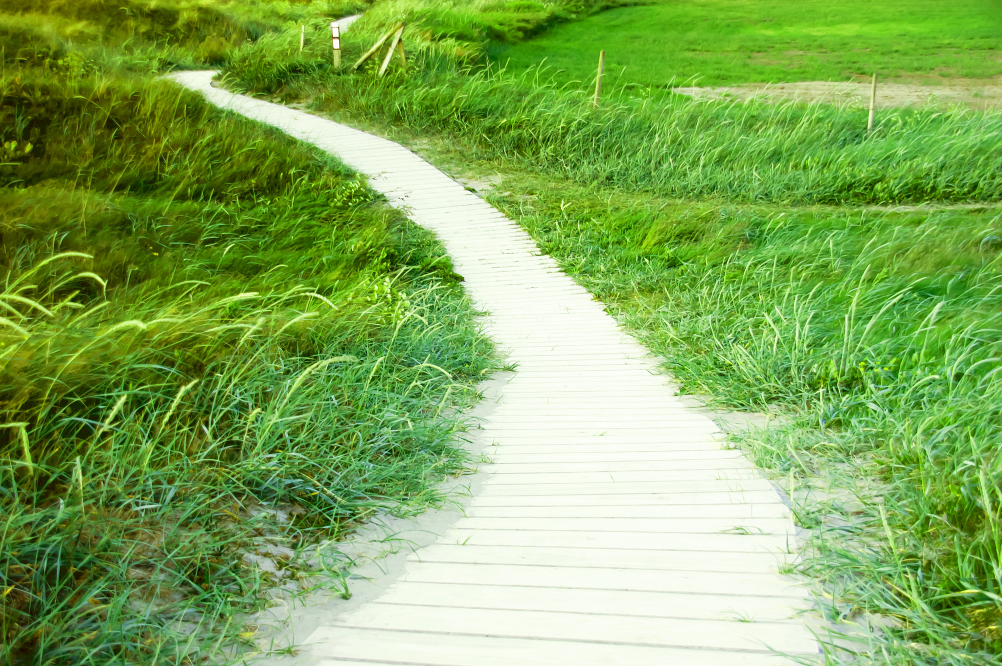 Sigma 18-200mm F3.5-6.3 DC OS HSM sample photo. Wooden path from the beach photography
