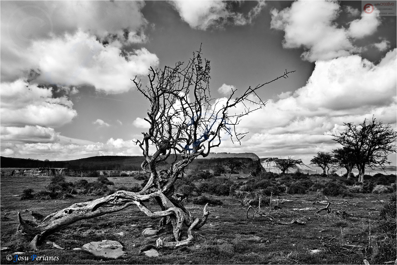 Pentax *ist DS + Sigma 18-50mm F3.5-5.6 DC sample photo. Lo que el viento........ no se llevó photography