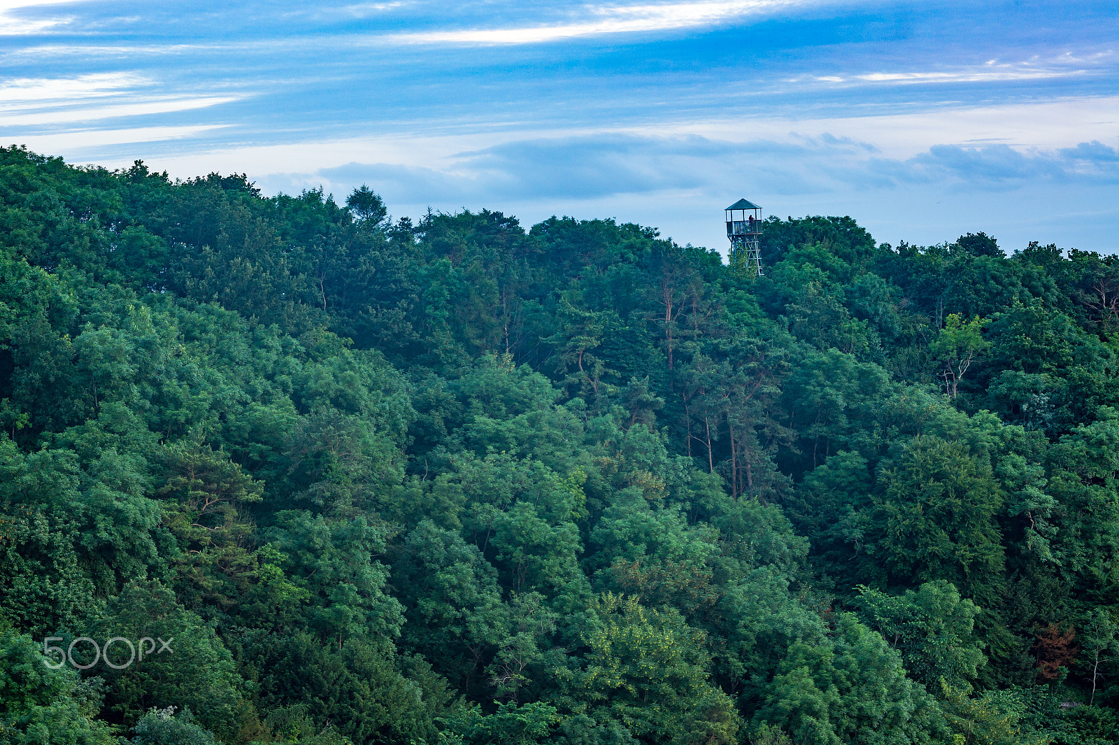 Sony Alpha NEX-5 + Sigma 70-300mm F4-5.6 DL Macro sample photo. The wonders of cheddar gorge photography