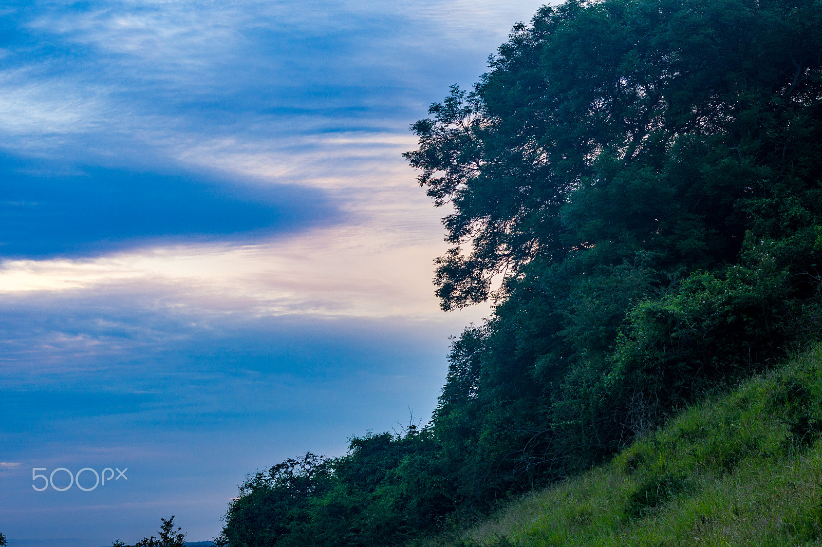 Sony Alpha NEX-5 + Sigma 70-300mm F4-5.6 DL Macro sample photo. The wonders of cheddar gorge photography