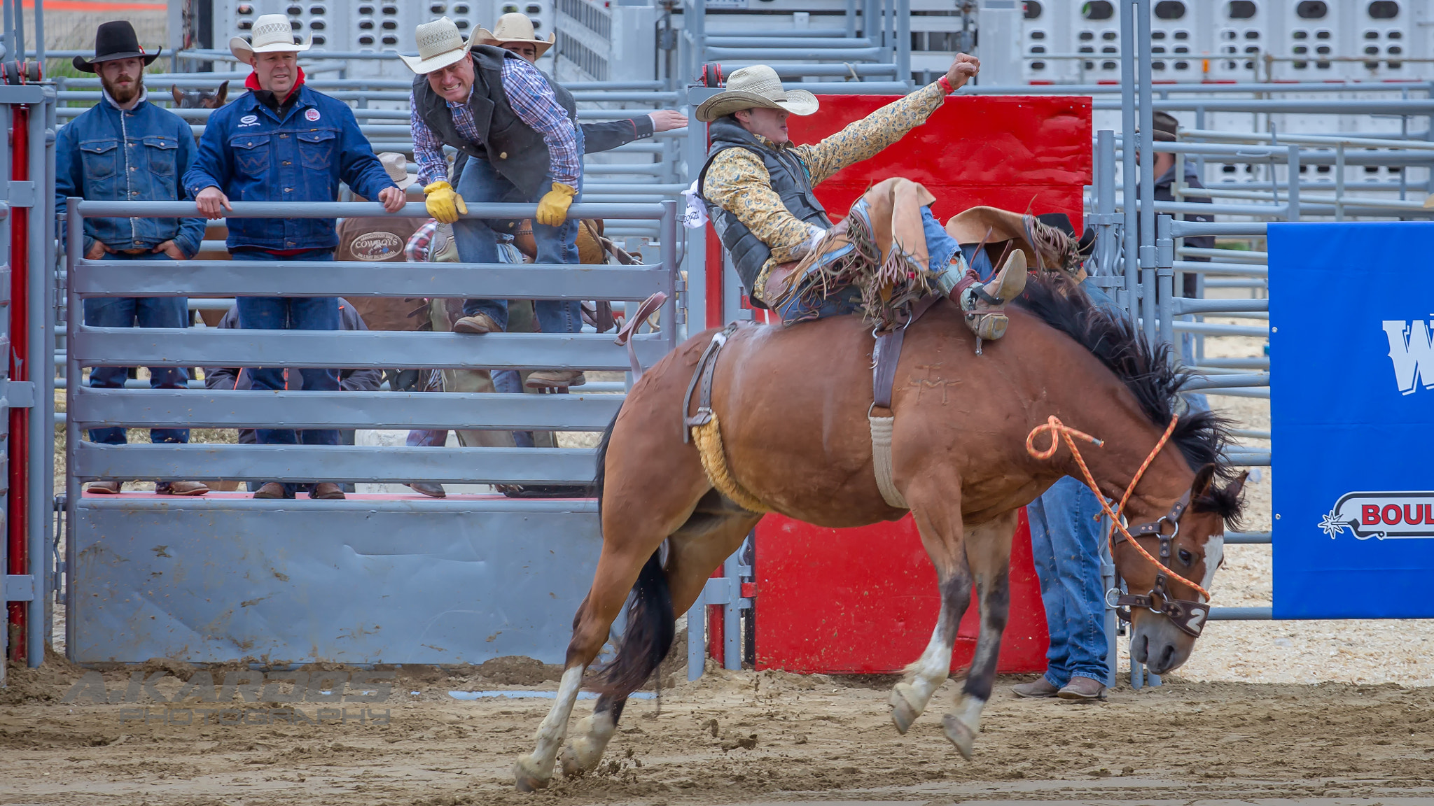 Canon EOS 700D (EOS Rebel T5i / EOS Kiss X7i) + Canon EF 70-200mm F4L USM sample photo. Wild horse 2 - rodéo fest de val saint-côme 2016 photography