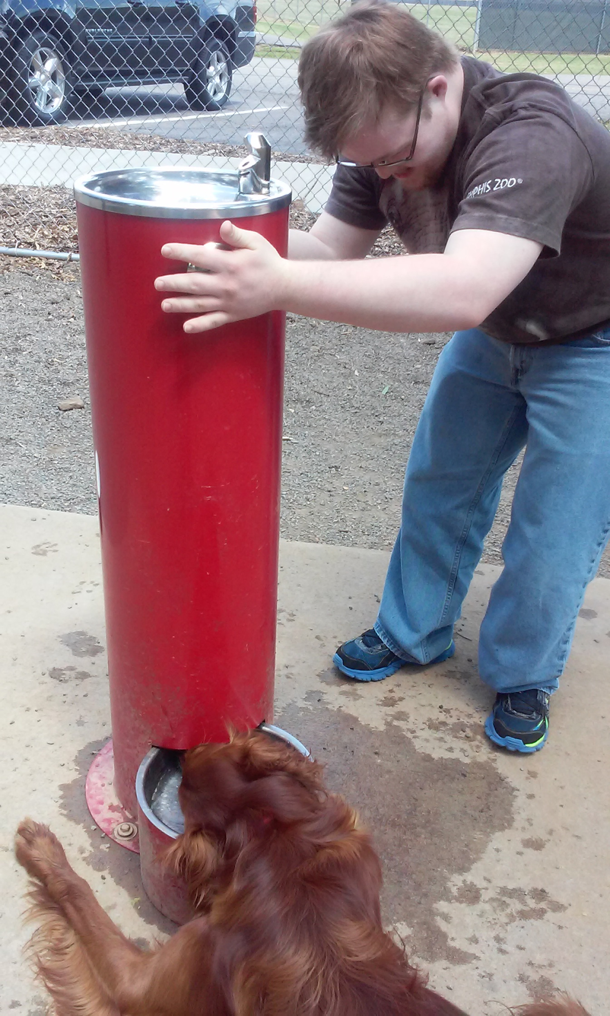 LG L70 CDMA sample photo. Boy watering dog photography