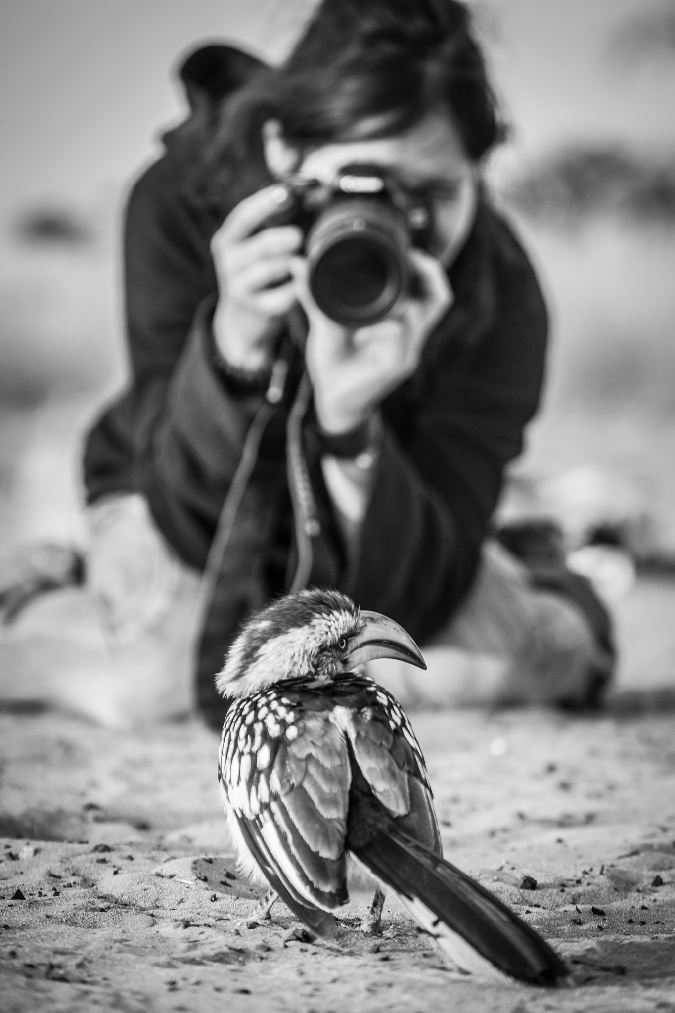 Canon EF 70-200mm F2.8L IS II USM sample photo. Poser photography