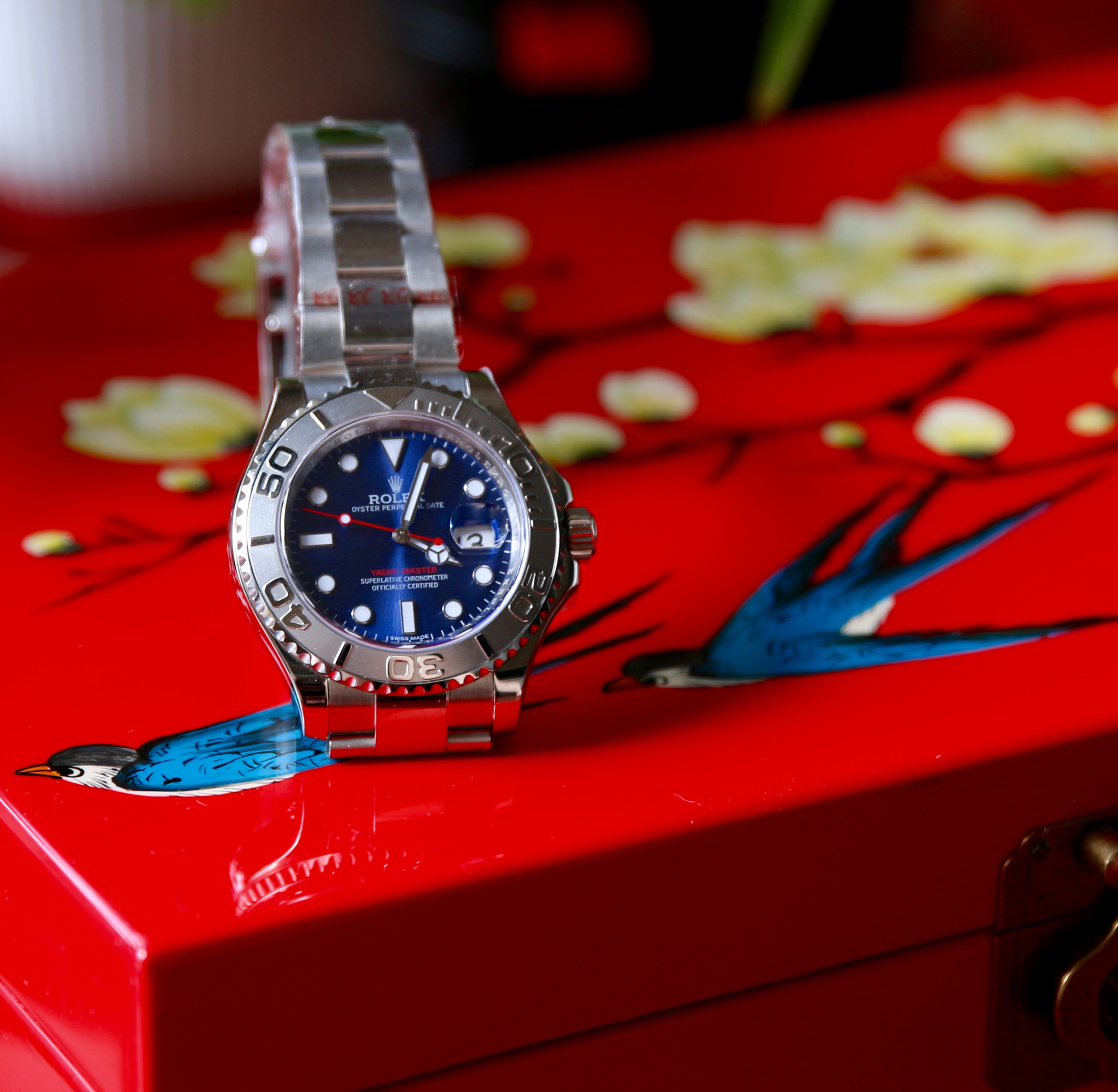 Canon EF 24-70mm F2.8L II USM sample photo. Time to shine photography