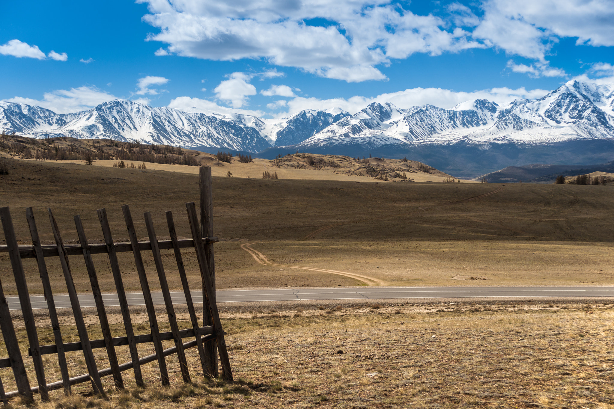 Sony Alpha DSLR-A900 + Sigma 17-70mm F2.8-4.5 (D) sample photo. Вырвался ... photography