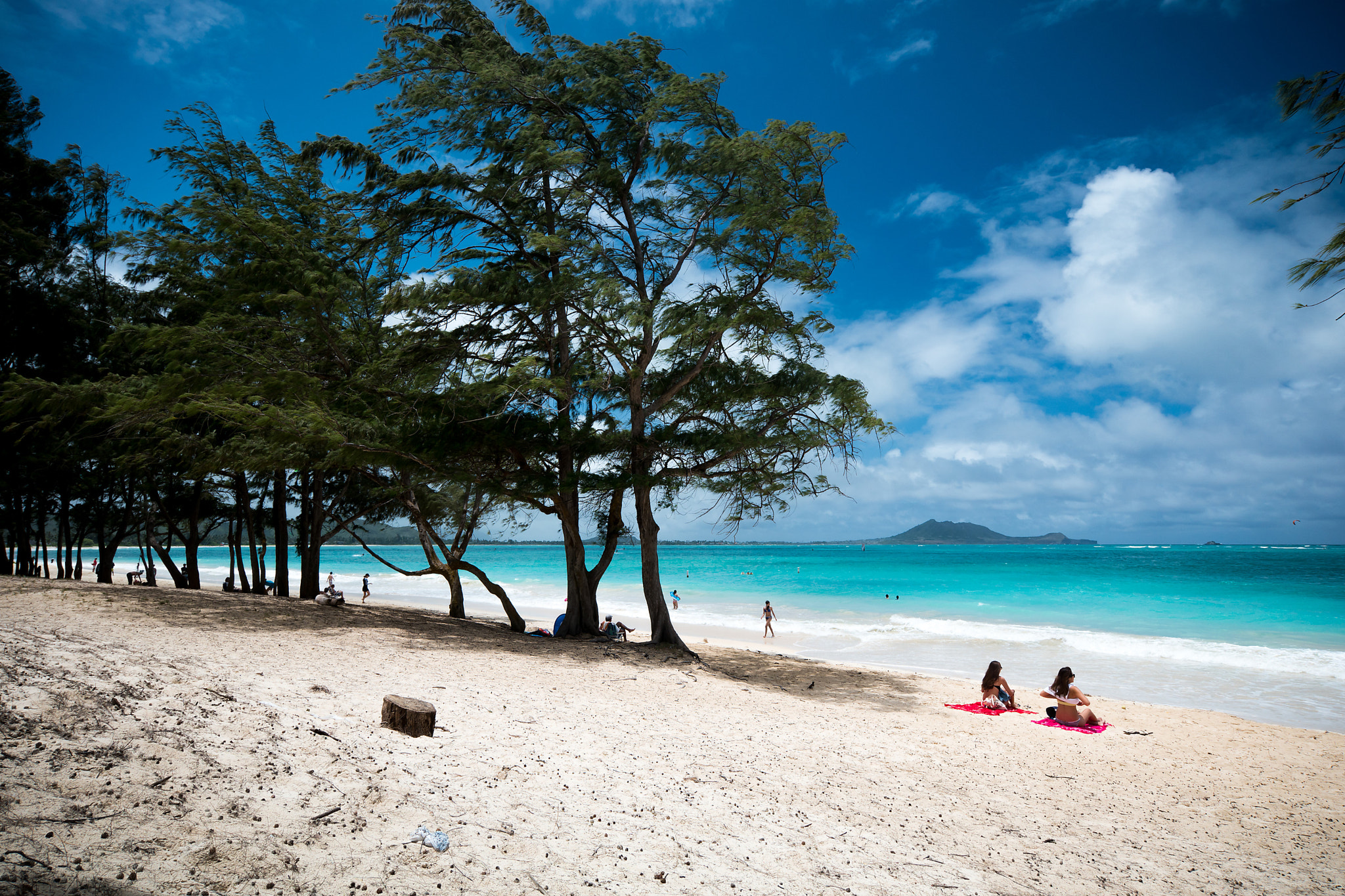 Samsung NX1 + Samsung NX 12-24mm F4-5.6 ED sample photo. Hawaiian beach photography