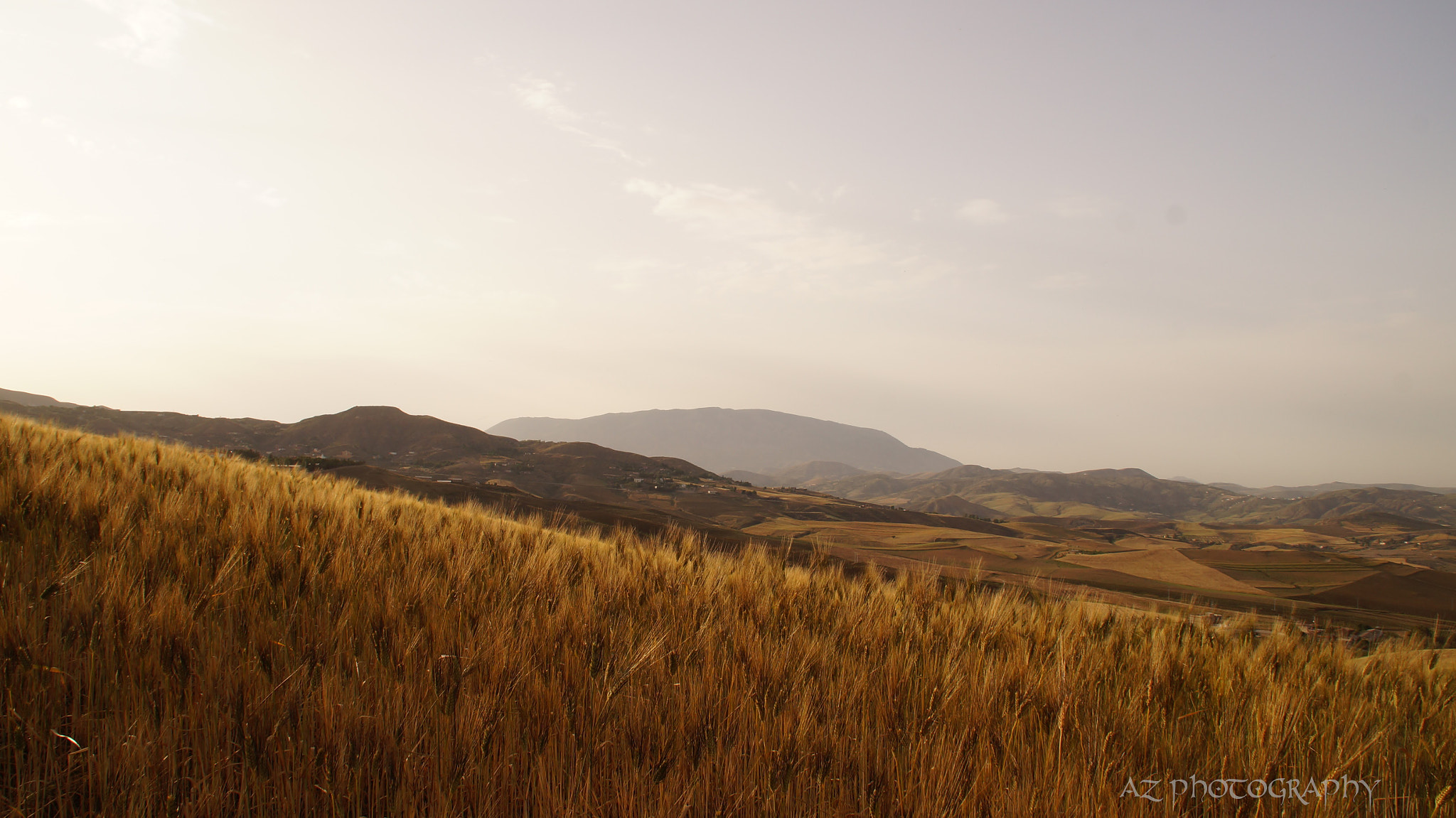 Sony SLT-A37 sample photo. Goldness photography